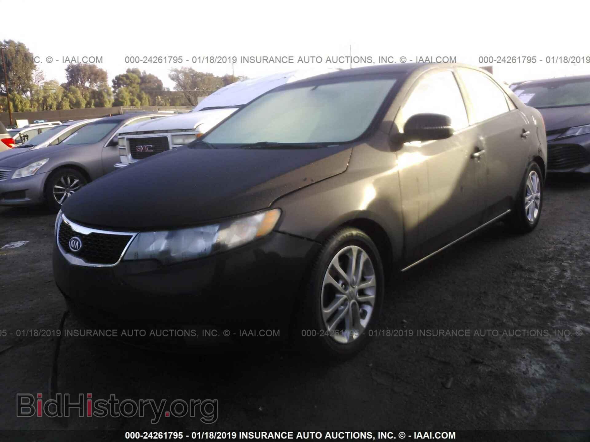 2012 KIA FORTE - VIN: KNAFU4A24C5478321 - Фото 2