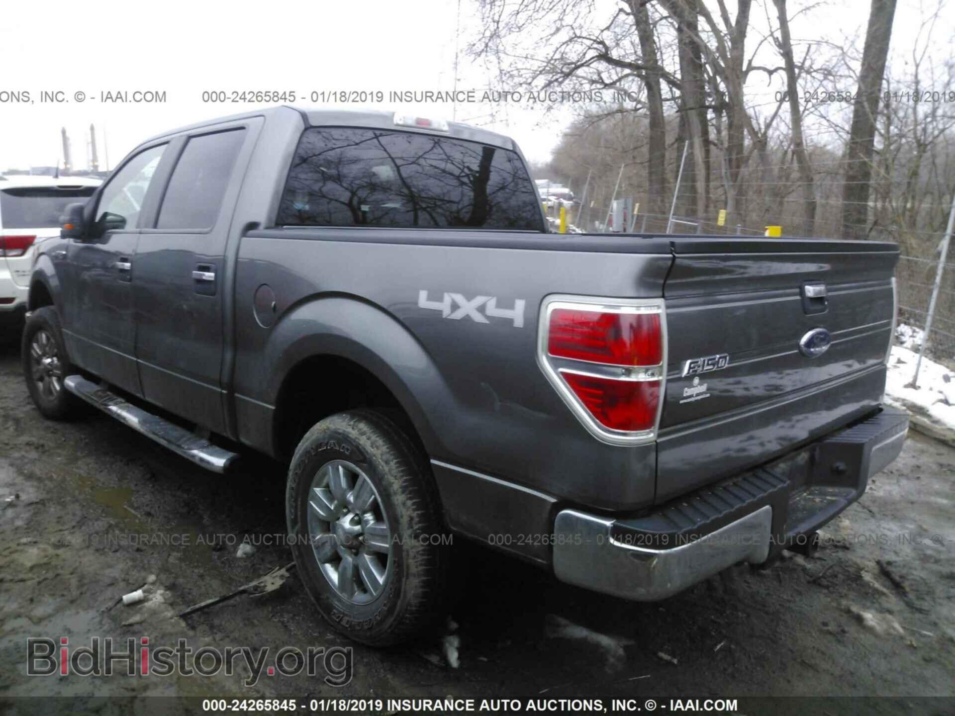 2009 FORD F150 - VIN: 1FTPW14V79FB20980 - Фото 3