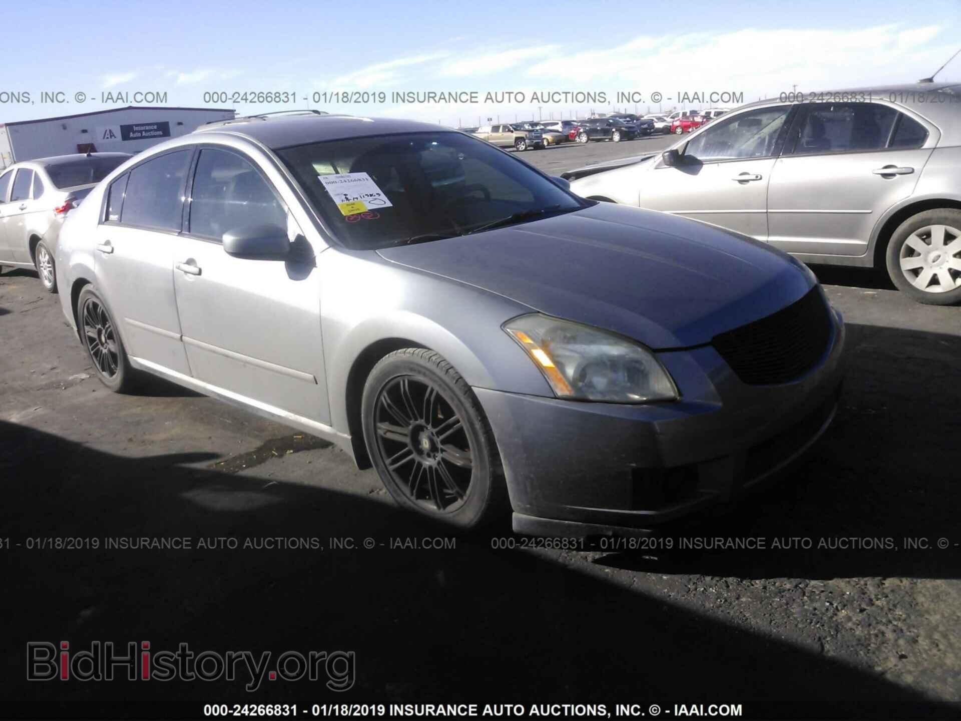 Photo 1N4BA41E78C812449 - NISSAN MAXIMA 2008