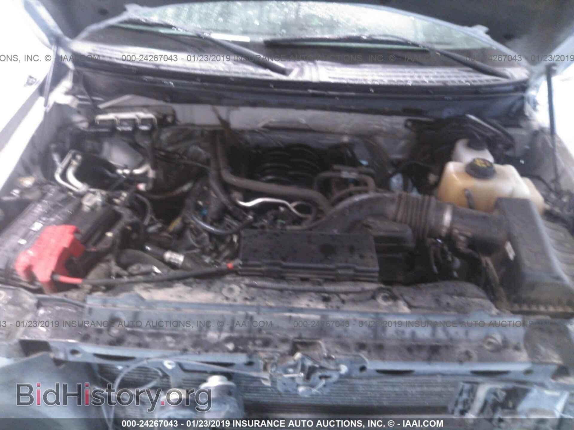 2013 FORD F150 - VIN: 1FTFX1EF9DFB49325 - Фото 10