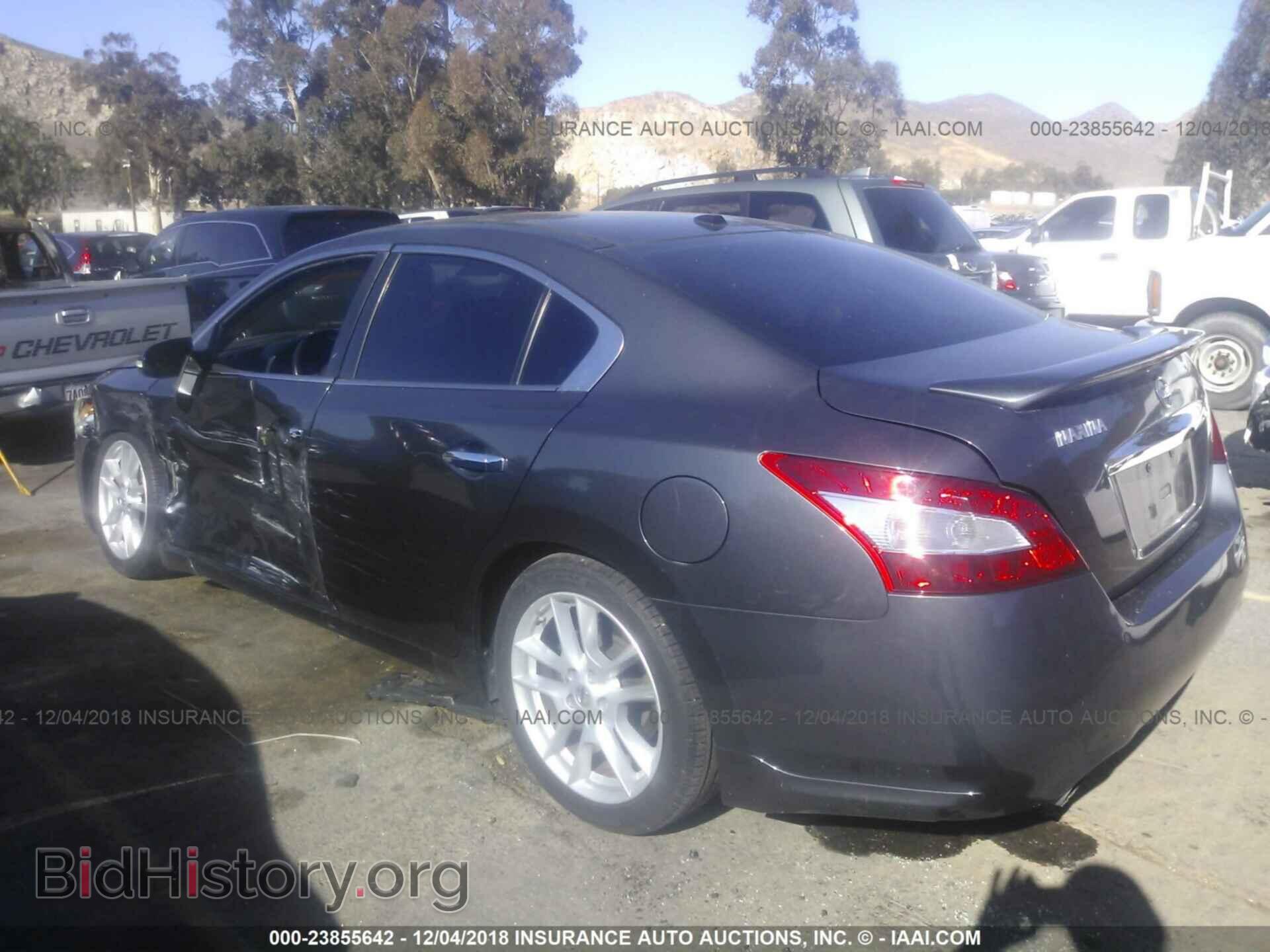 2010 NISSAN MAXIMA - VIN: 1N4AA5AP0AC838769 - Фото 3
