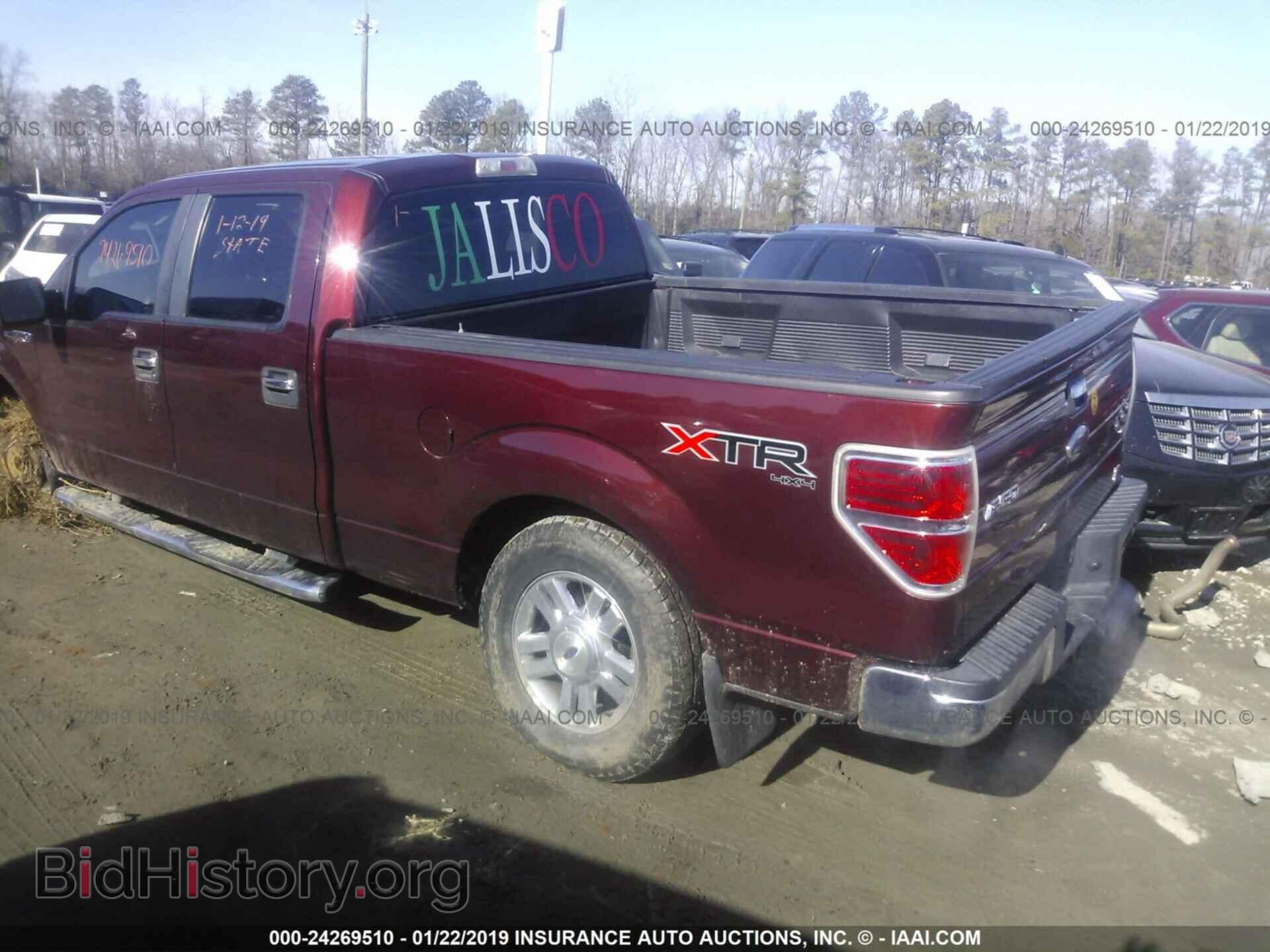 2010 FORD F150 - VIN: 1FTFW1EV2AFA19067 - Фото 3