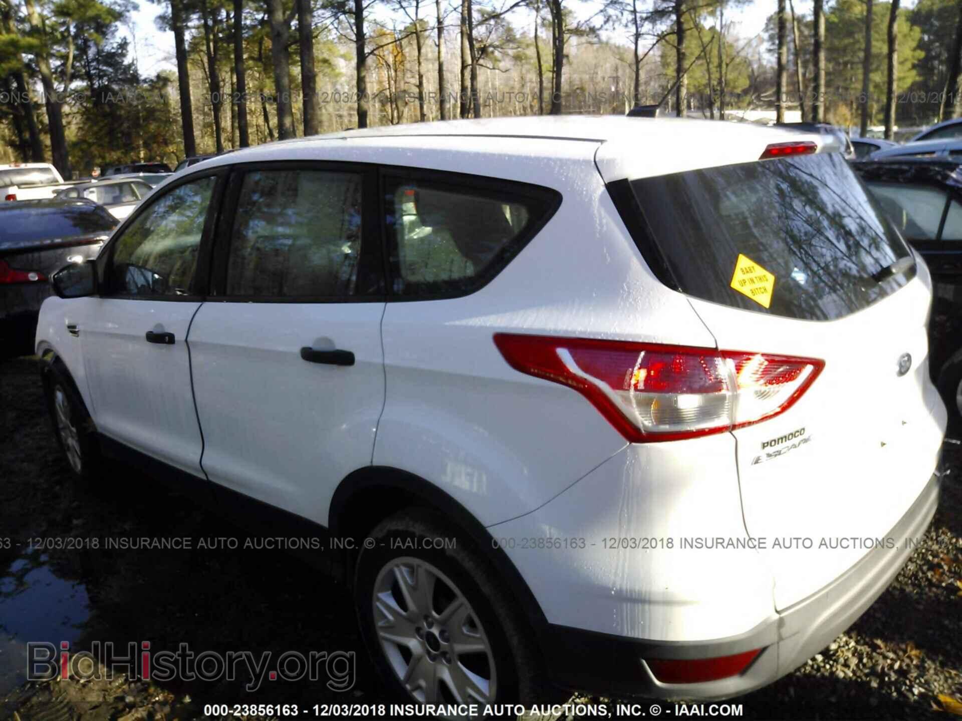 2013 FORD ESCAPE - VIN: 1FMCU0F72DUA98206 - Фото 3