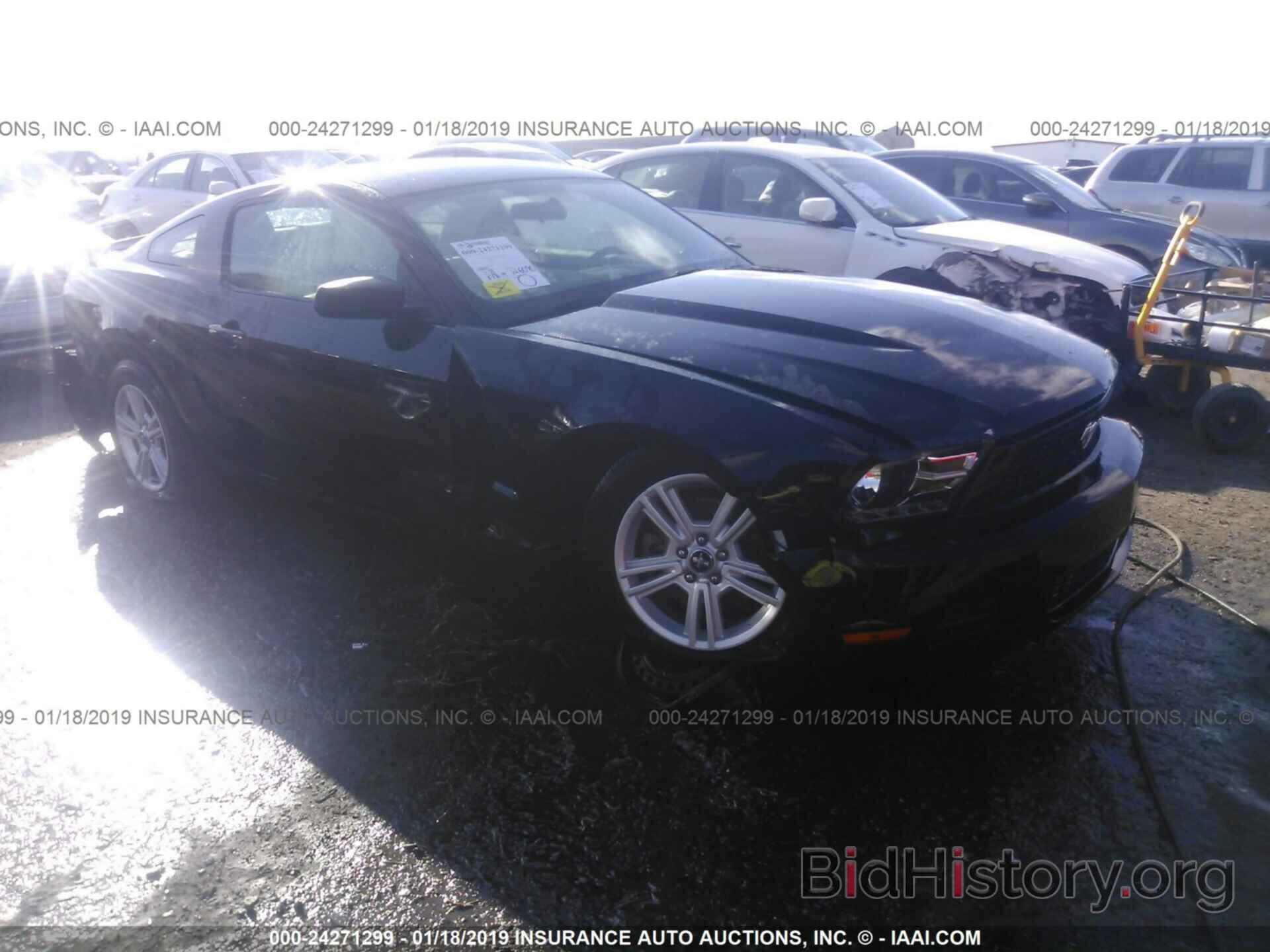 Photo 1ZVBP8AM2C5257556 - FORD MUSTANG 2012