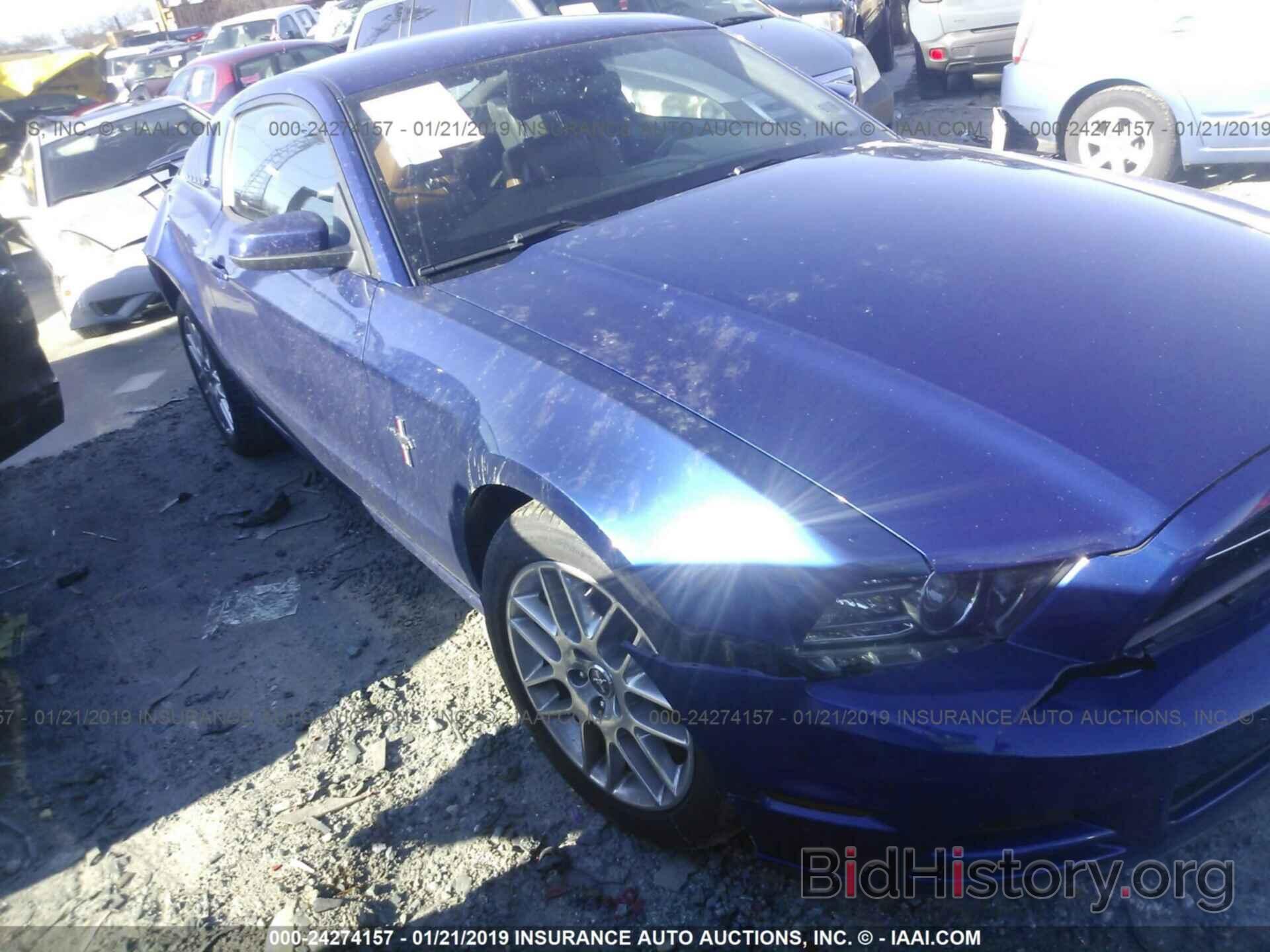 Photo 1ZVBP8AM7D5246084 - FORD MUSTANG 2013