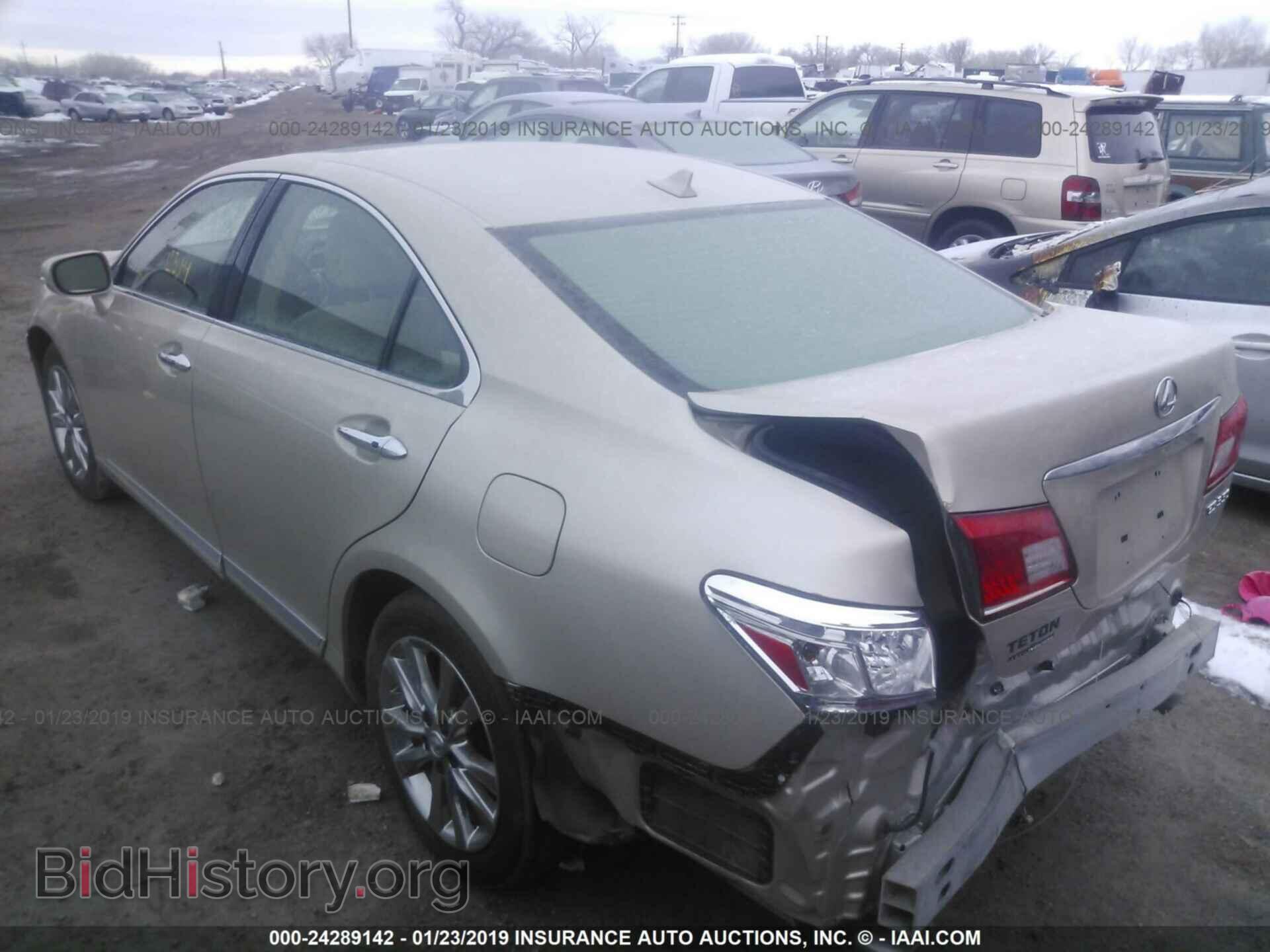 2011 LEXUS ES - VIN: JTHBK1EG3B2420128 - Фото 3