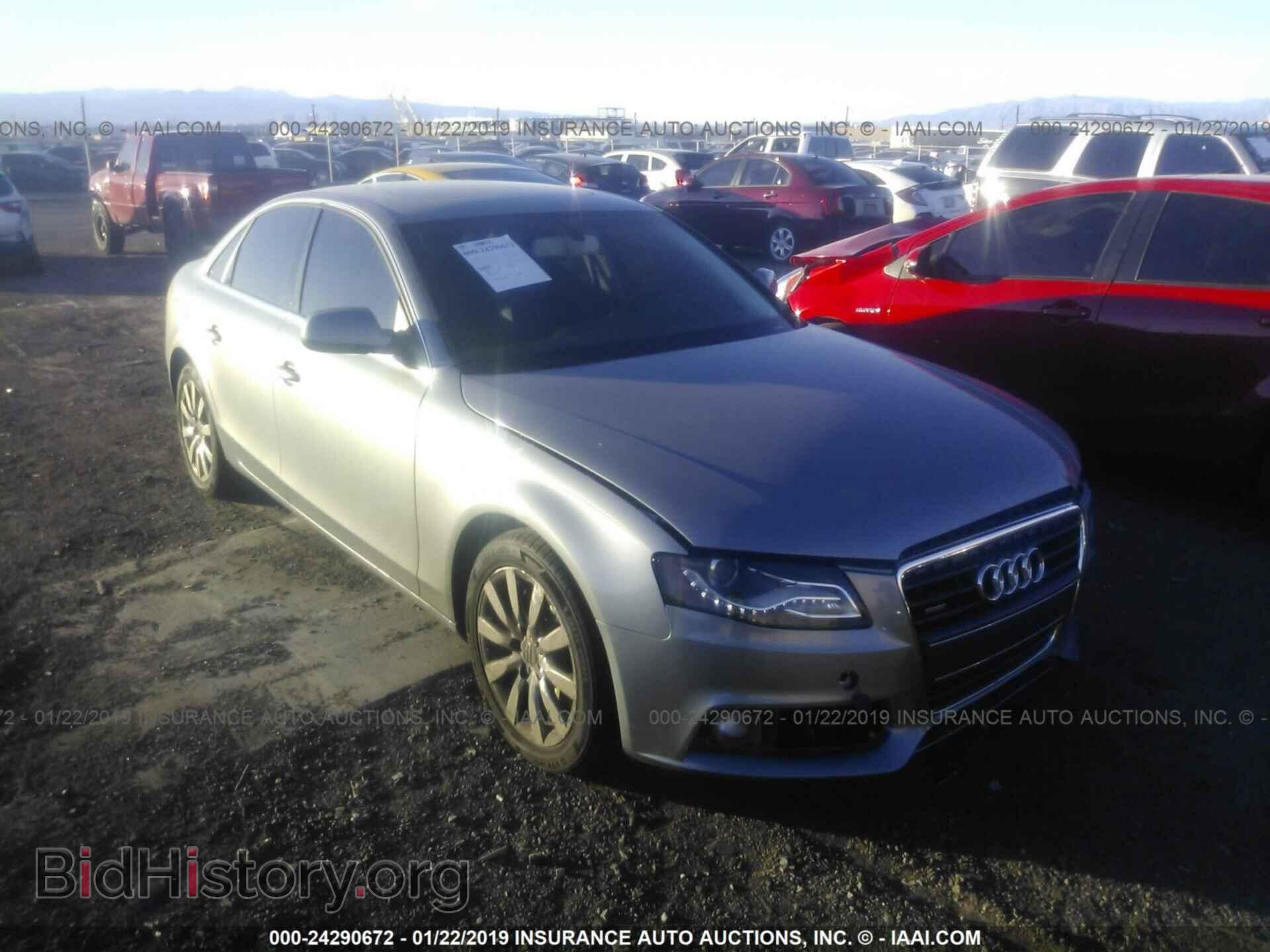 Фотография WAUFFAFL4AN026733 - AUDI A4 2010