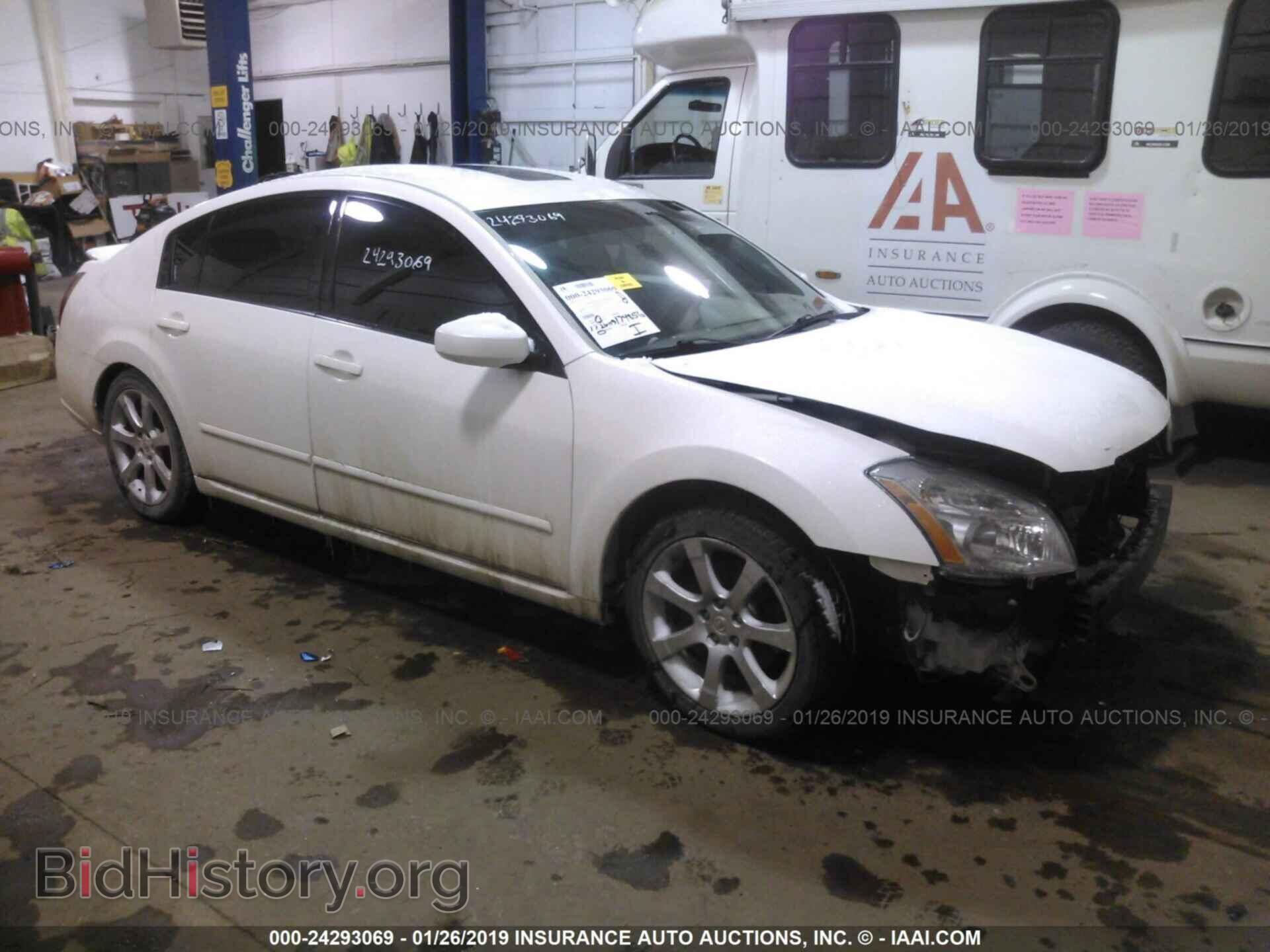 Photo 1N4BA41E88C805087 - NISSAN MAXIMA 2008