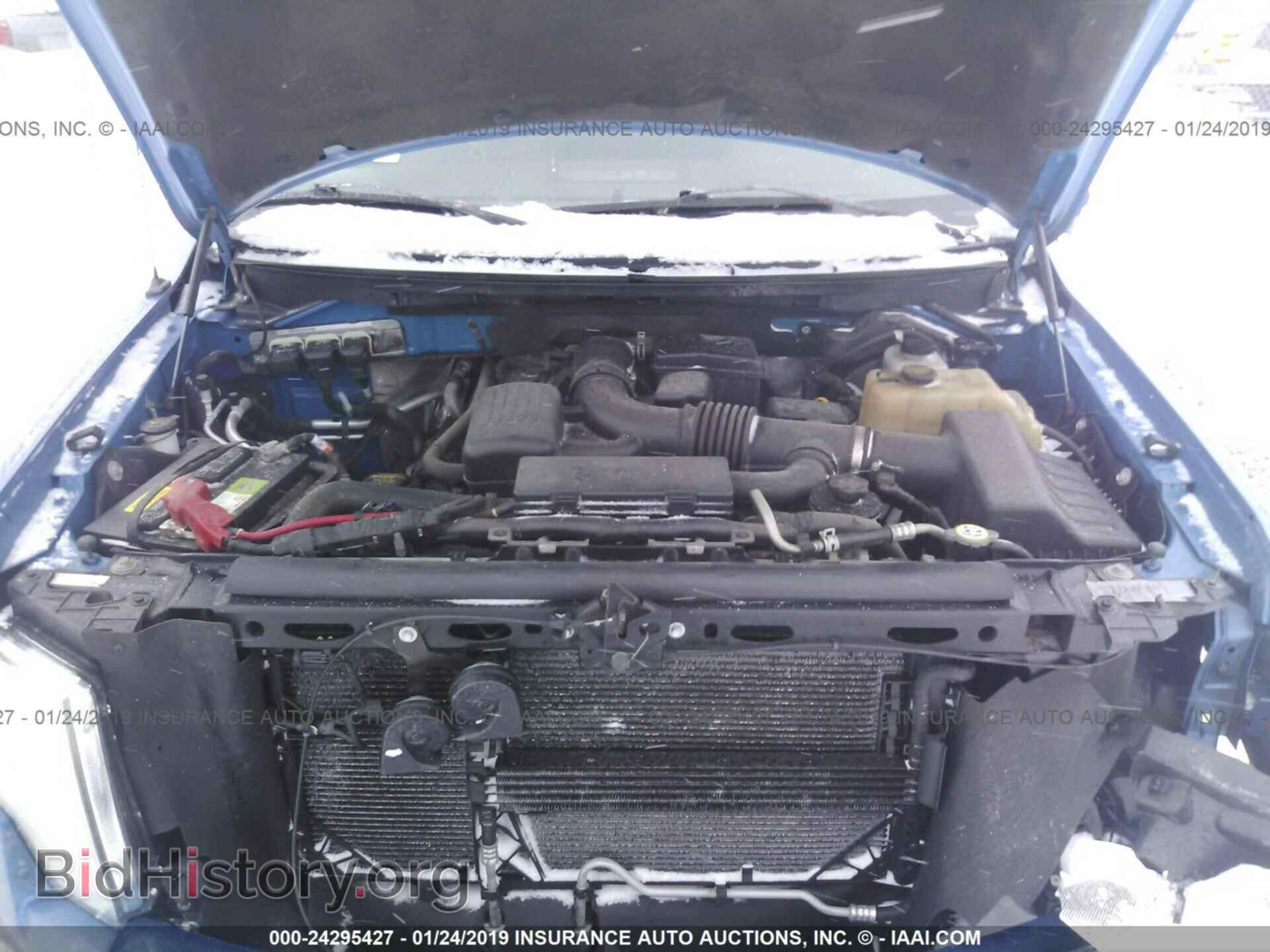 2010 FORD F150 - VIN: 1FTFX1EV7AFB70175 - Фото 10