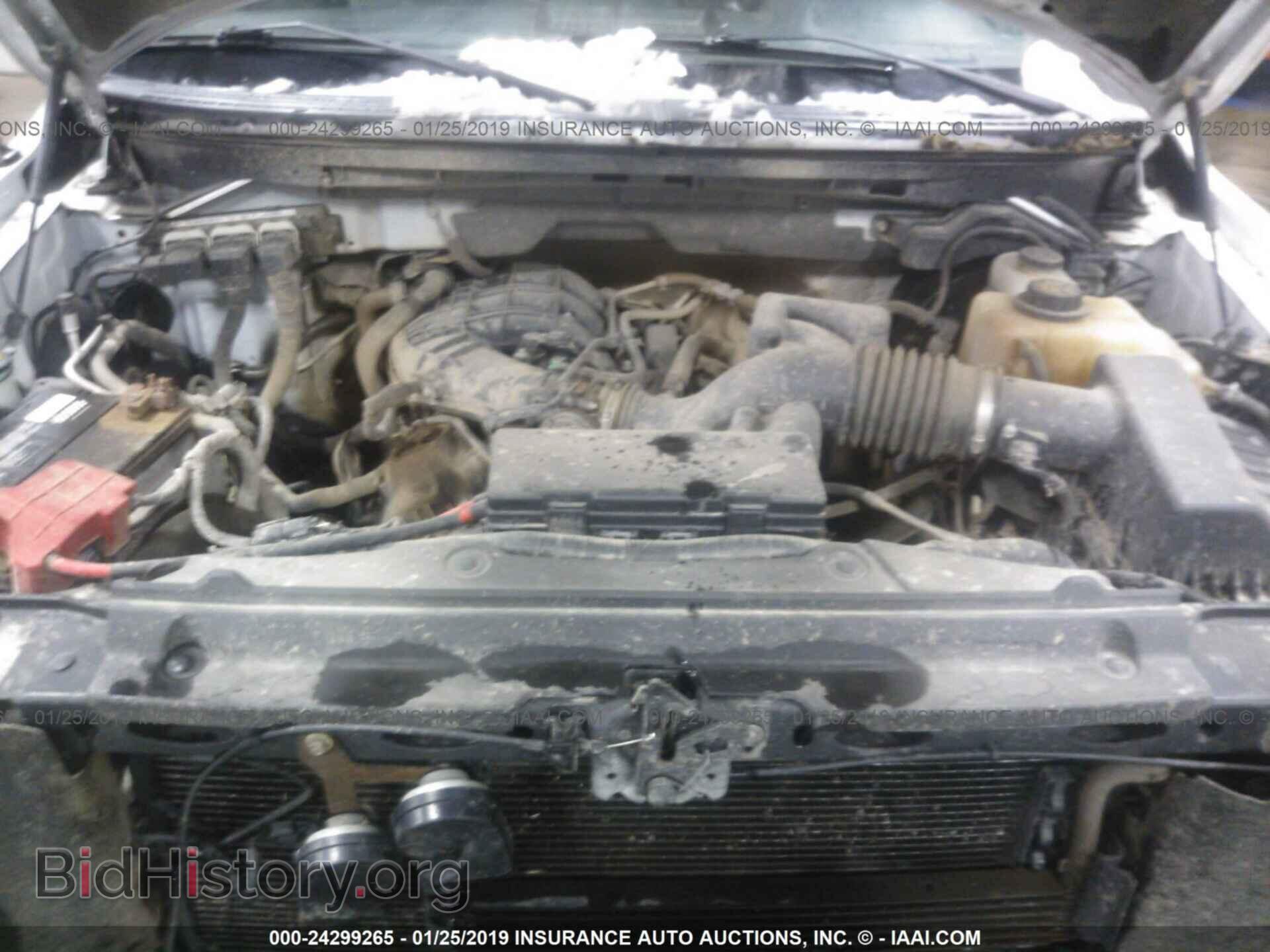 2012 FORD F150 - VIN: 1FTEX1EM2CKD31965 - Фото 10