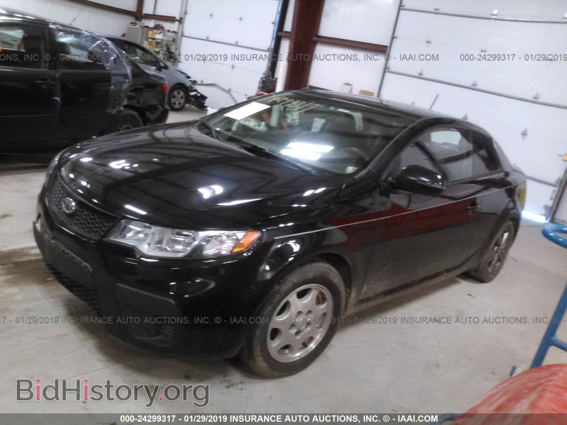 2012 KIA FORTE - VIN: KNAFU6A25C5533158 - Фото 2