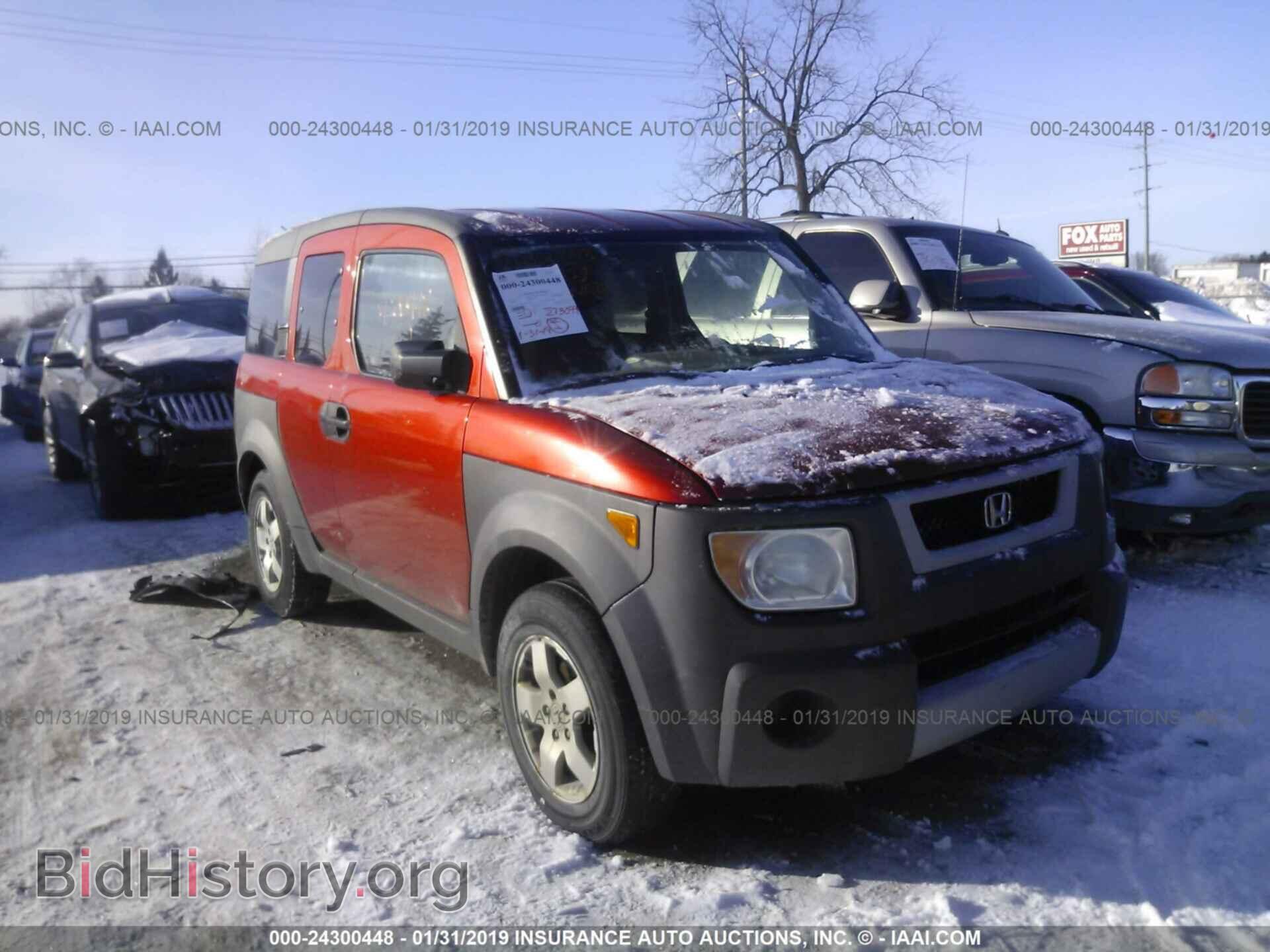 Photo 5J6YH28594L014159 - HONDA ELEMENT 2004