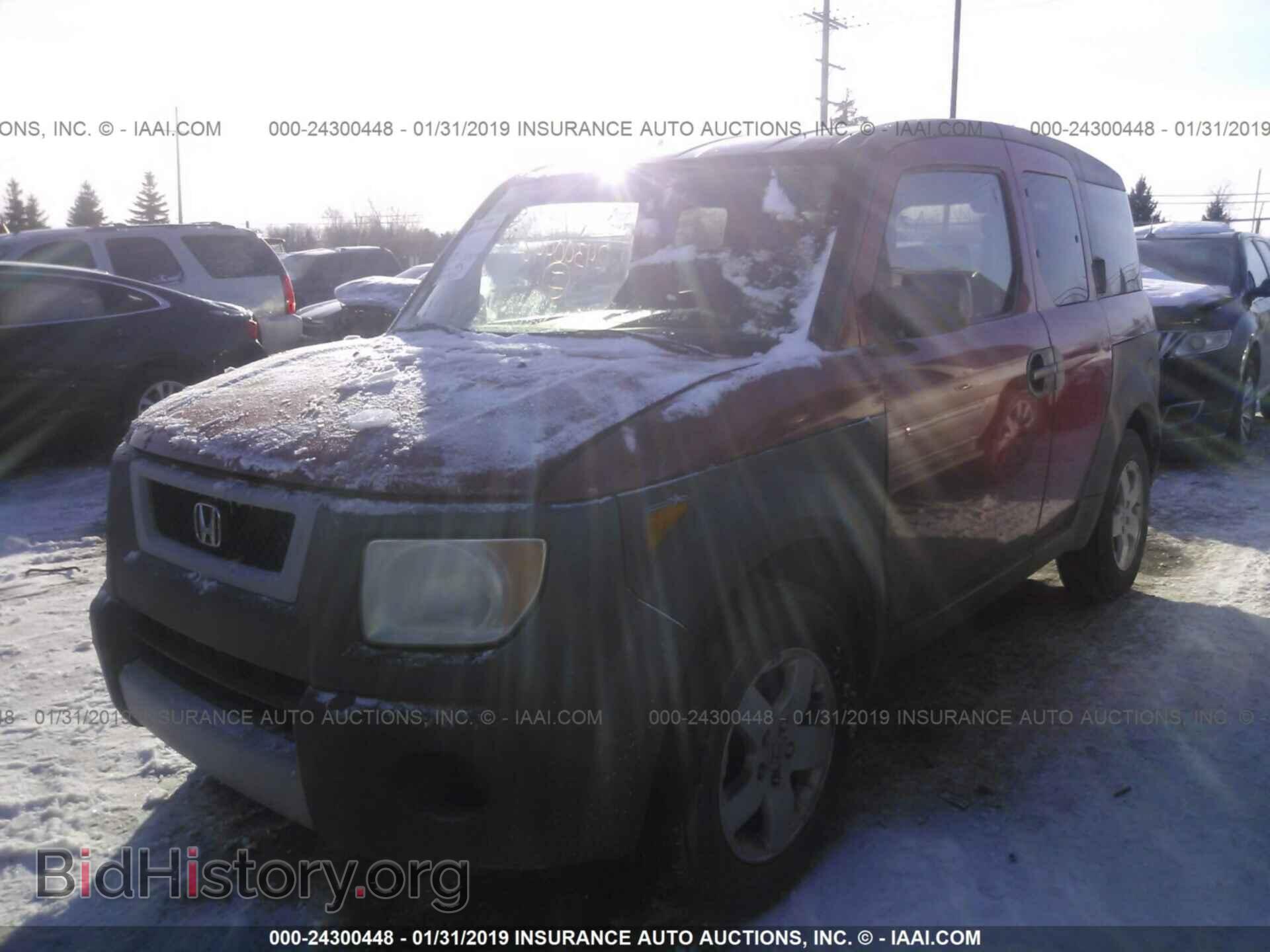 2004 HONDA ELEMENT - VIN: 5J6YH28594L014159 - Фото 2