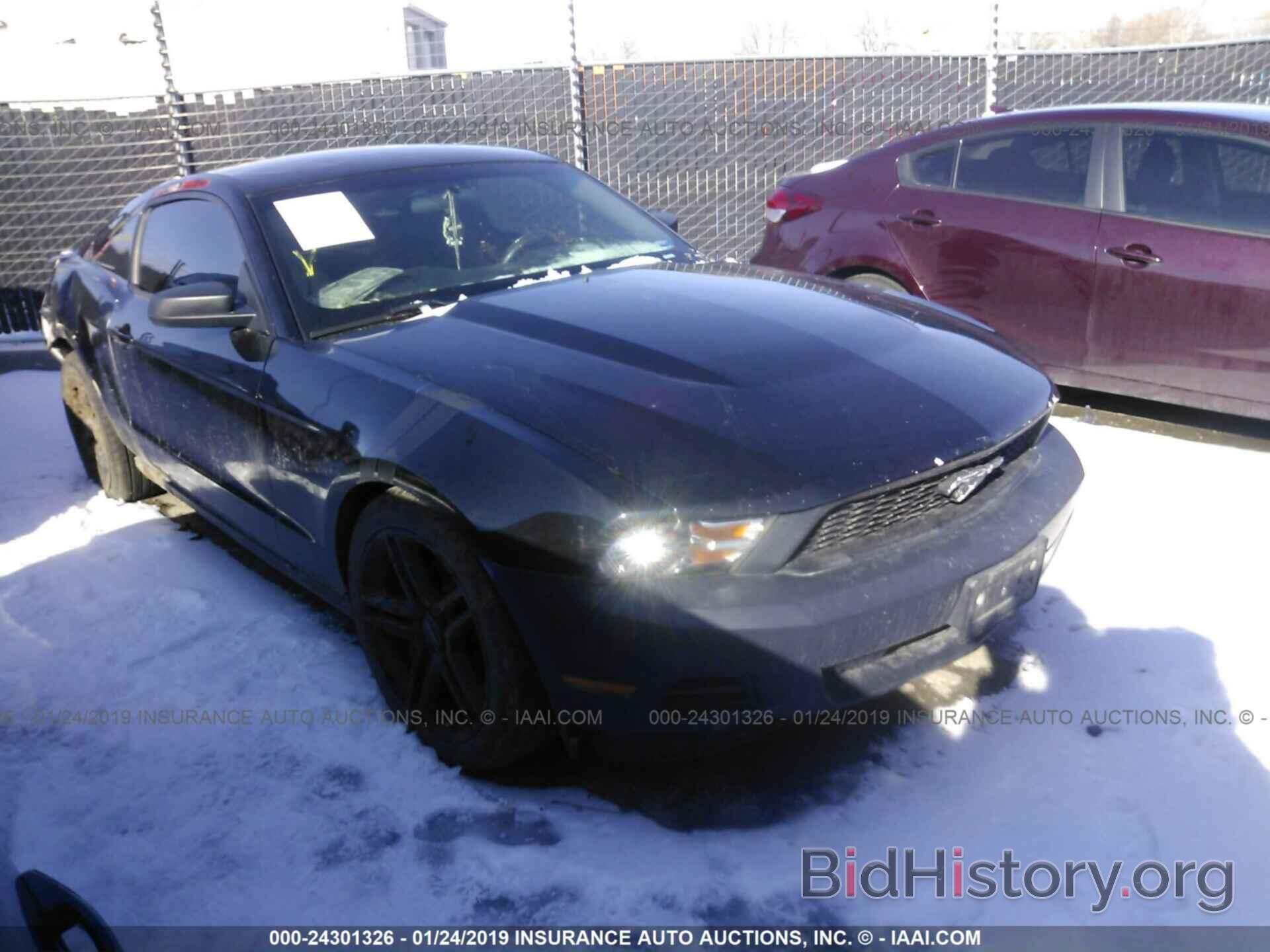 Фотография 1ZVBP8AM7C5254202 - FORD MUSTANG 2012