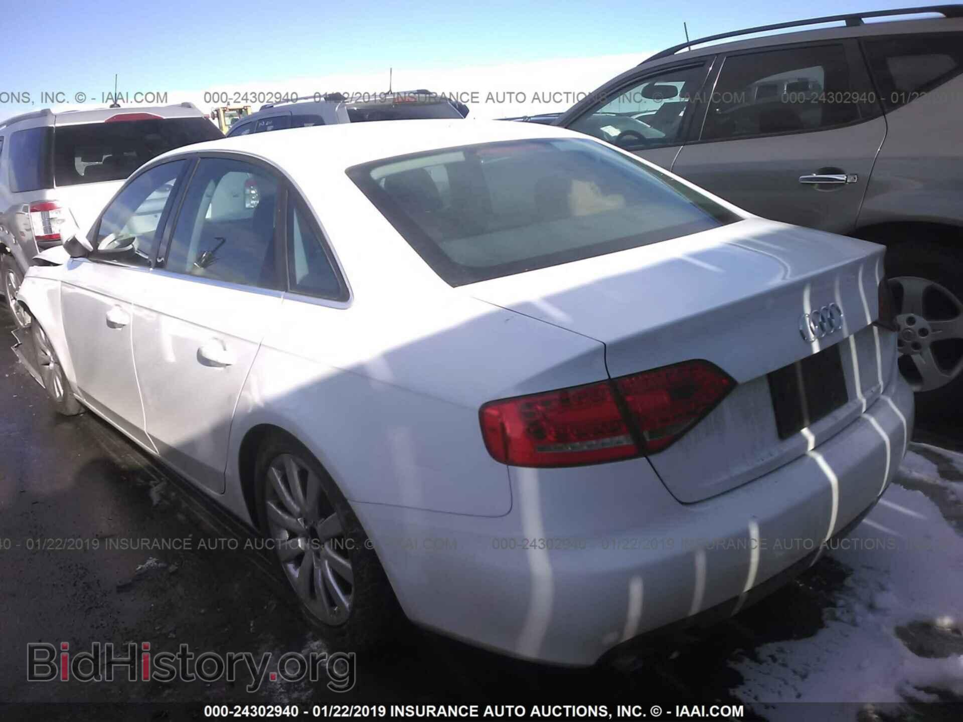 2010 AUDI A4 - VIN: WAUFFAFL3AN034970 - Фото 3