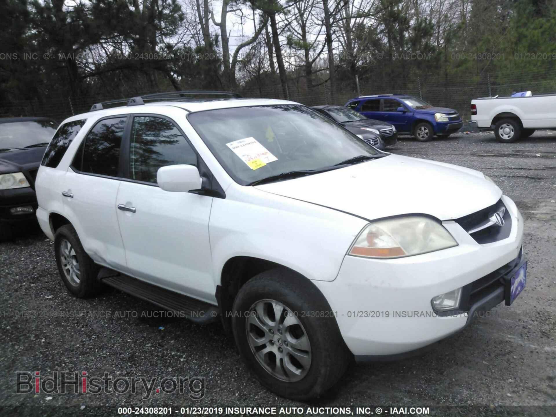 Фотография 1FMCU94G29KC05247 - FORD ESCAPE 2009
