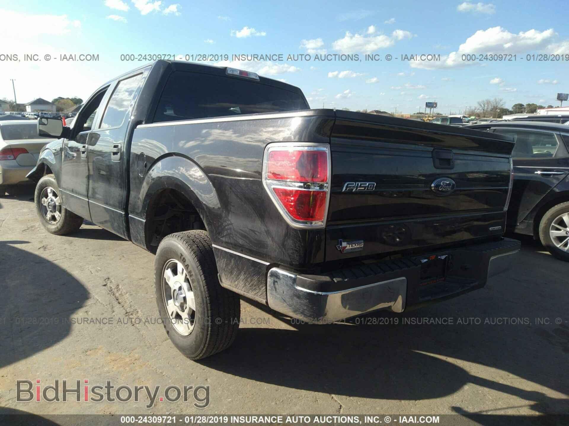 2013 FORD F150 - VIN: 1FTEW1CM0DFE03293 - Фото 3