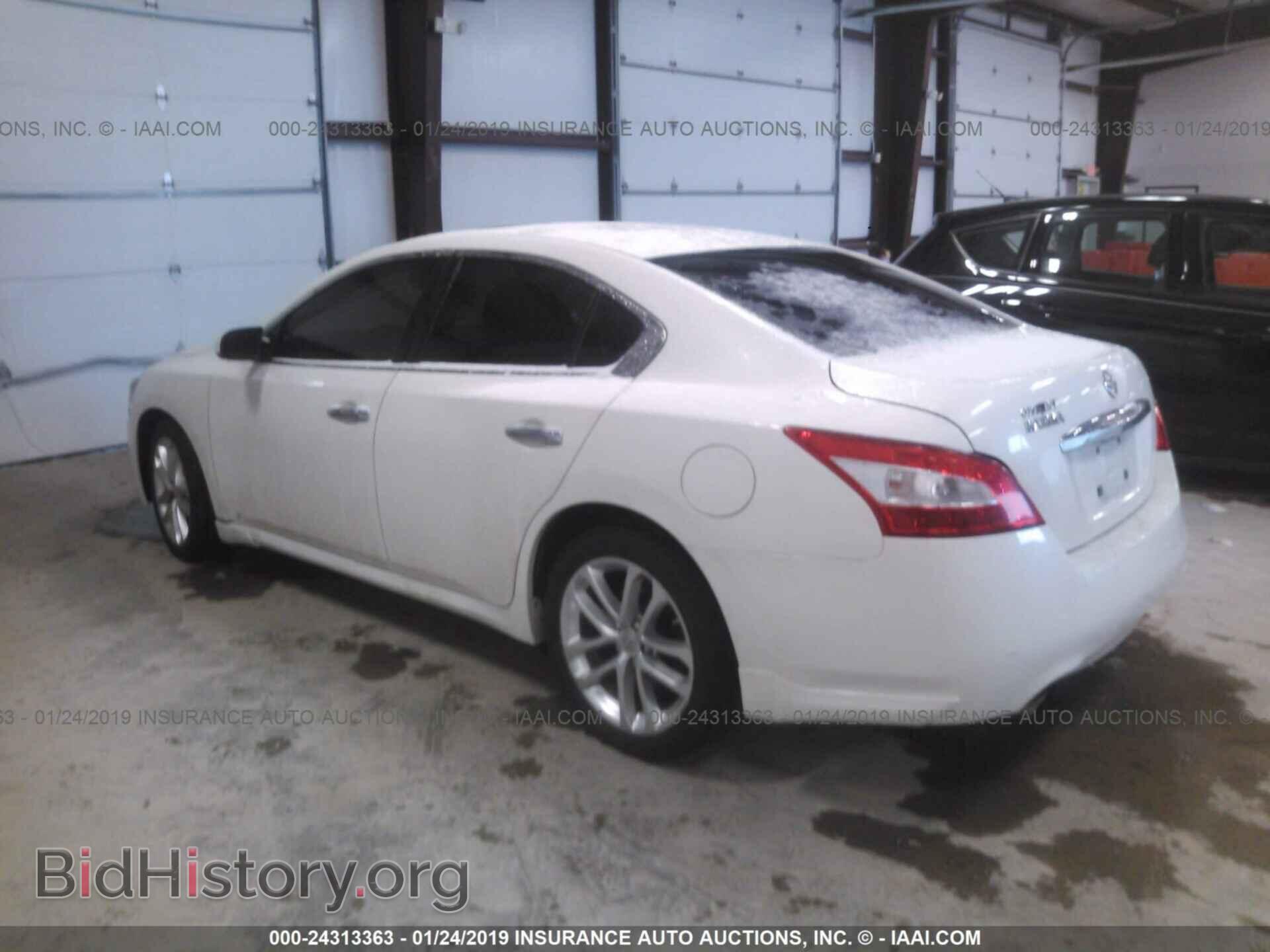 2009 NISSAN MAXIMA - VIN: 1N4AA51E69C844327 - Фото 3