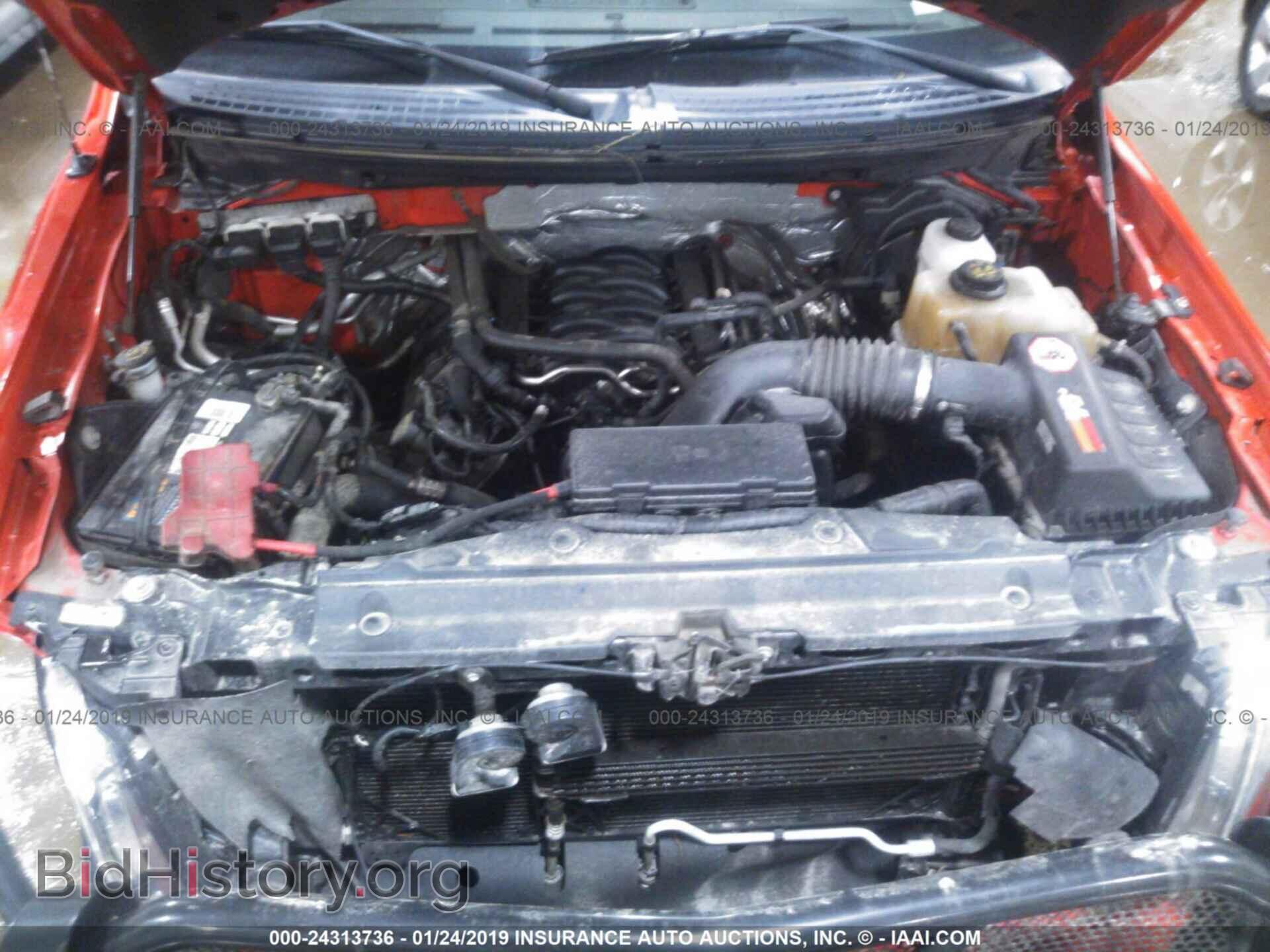 2013 FORD F150 - VIN: 1FTFX1EF0DFB81337 - Фото 10