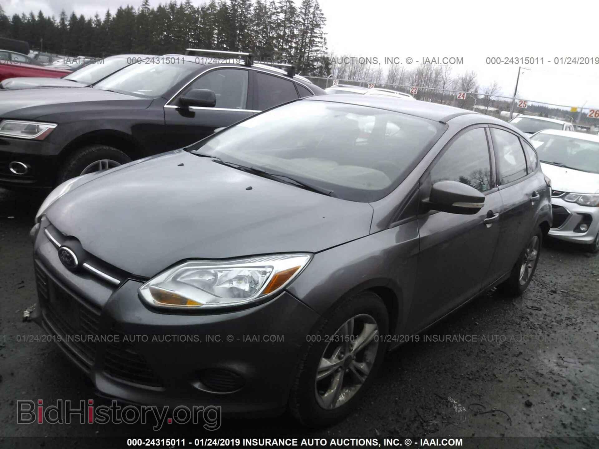 2013 FORD FOCUS - VIN: 1FADP3K26DL314100 - Фото 2