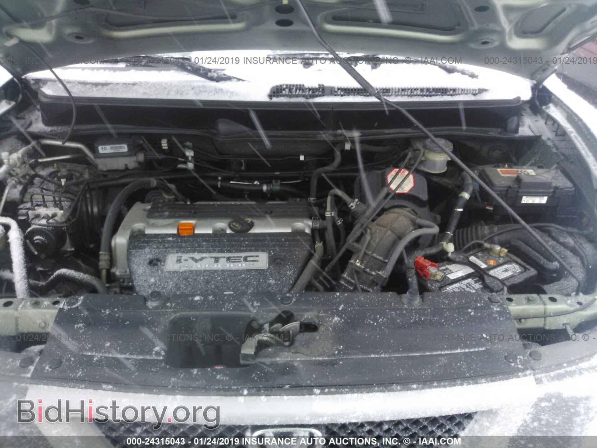 2005 HONDA ELEMENT - VIN: 5J6YH28685L024286 - Фото 10
