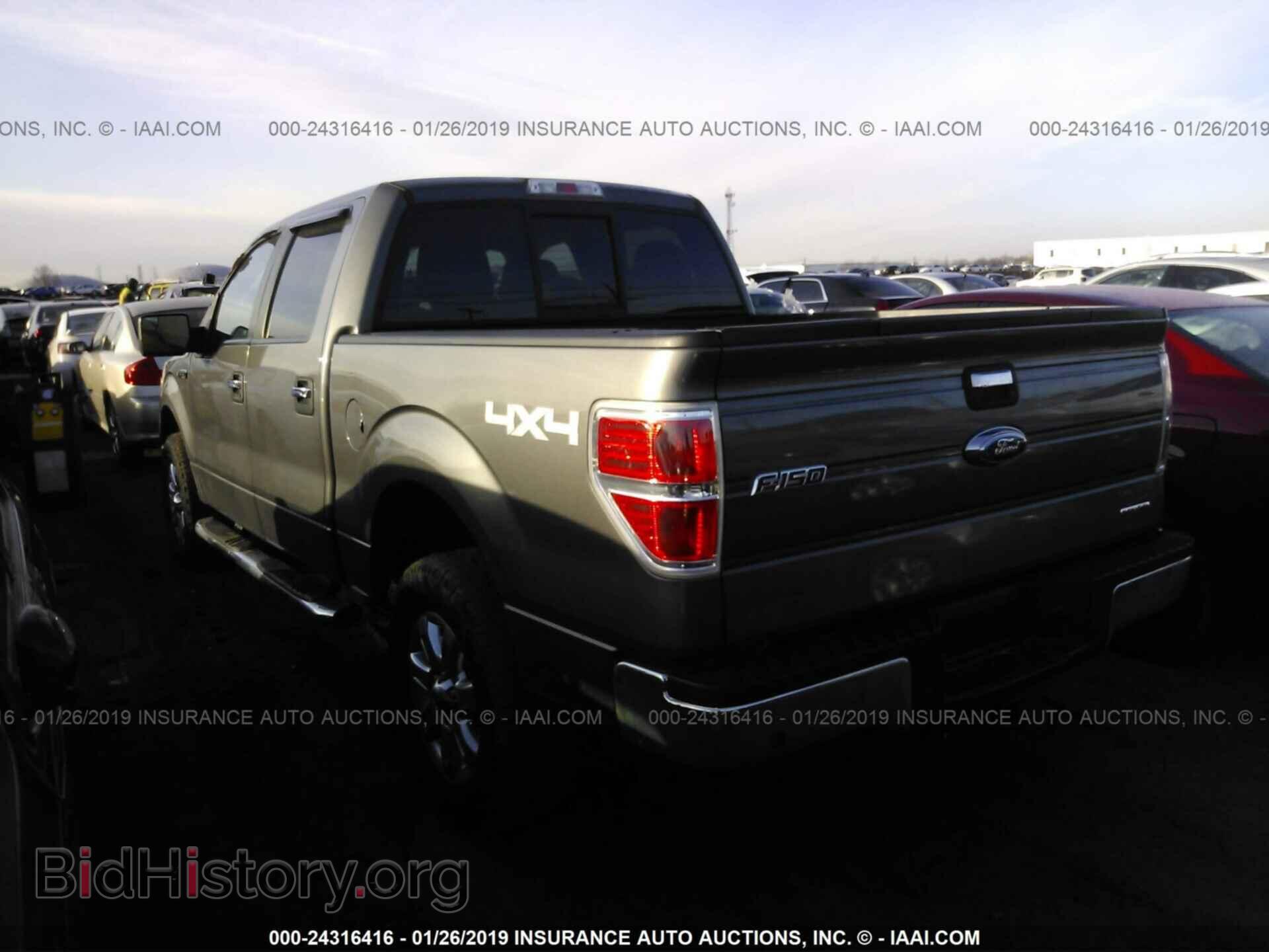 2013 FORD F150 - VIN: 1FTFW1EF4DKD63164 - Фото 3