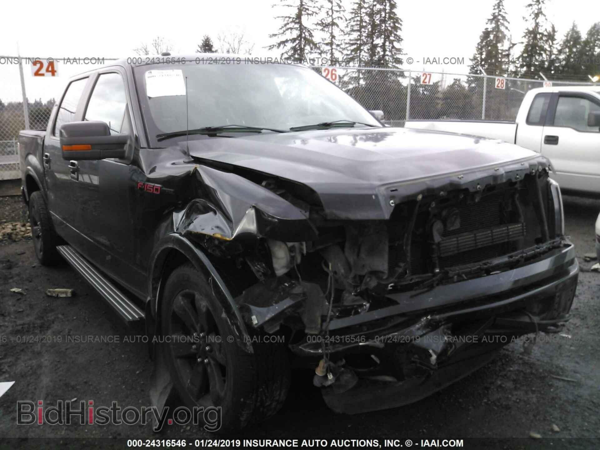 Фотография 1FTFW1EF6DFD59206 - FORD F150 2013