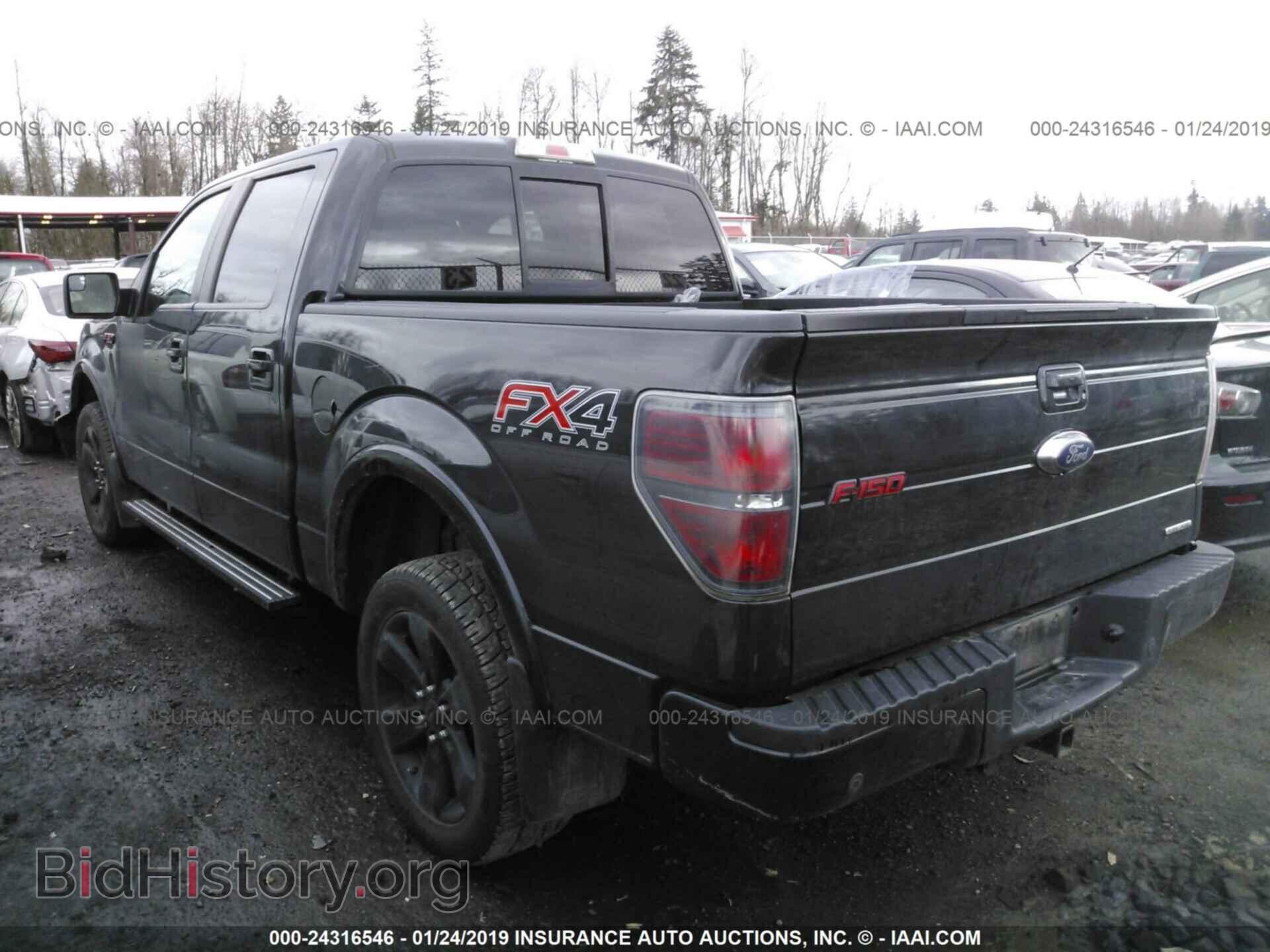 2013 FORD F150 - VIN: 1FTFW1EF6DFD59206 - Фото 3