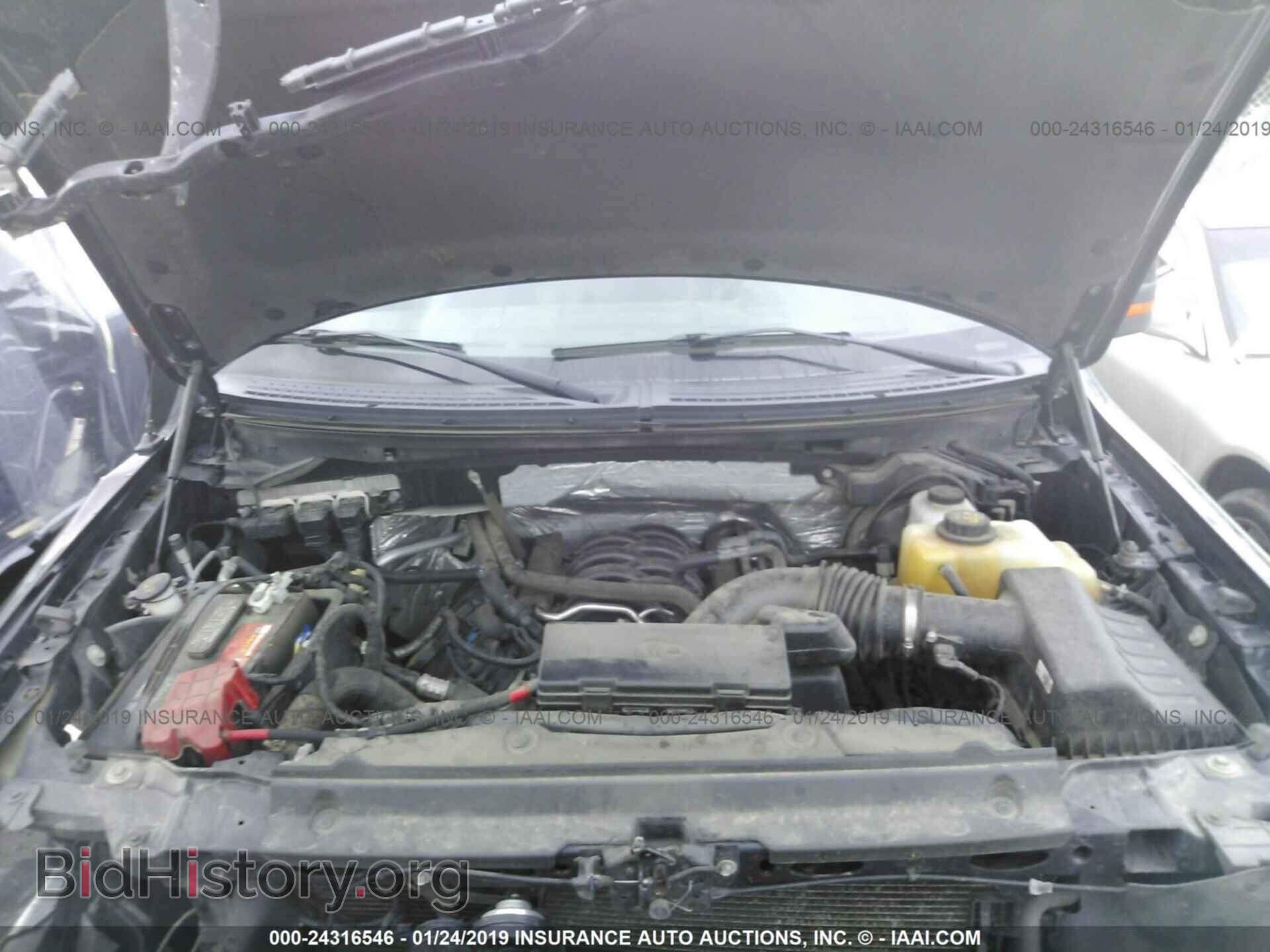 2013 FORD F150 - VIN: 1FTFW1EF6DFD59206 - Фото 10