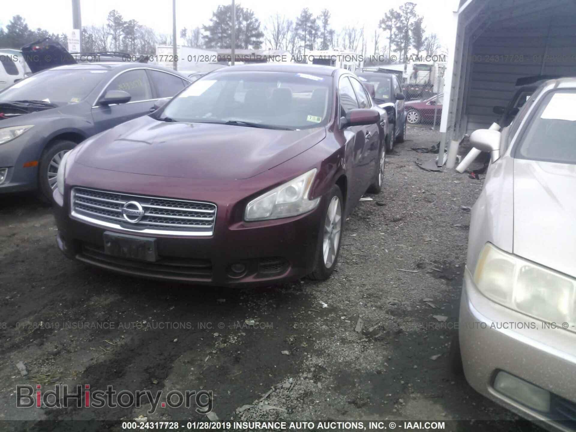 2009 NISSAN MAXIMA - VIN: 1N4AA51E89C847651 - Фото 2