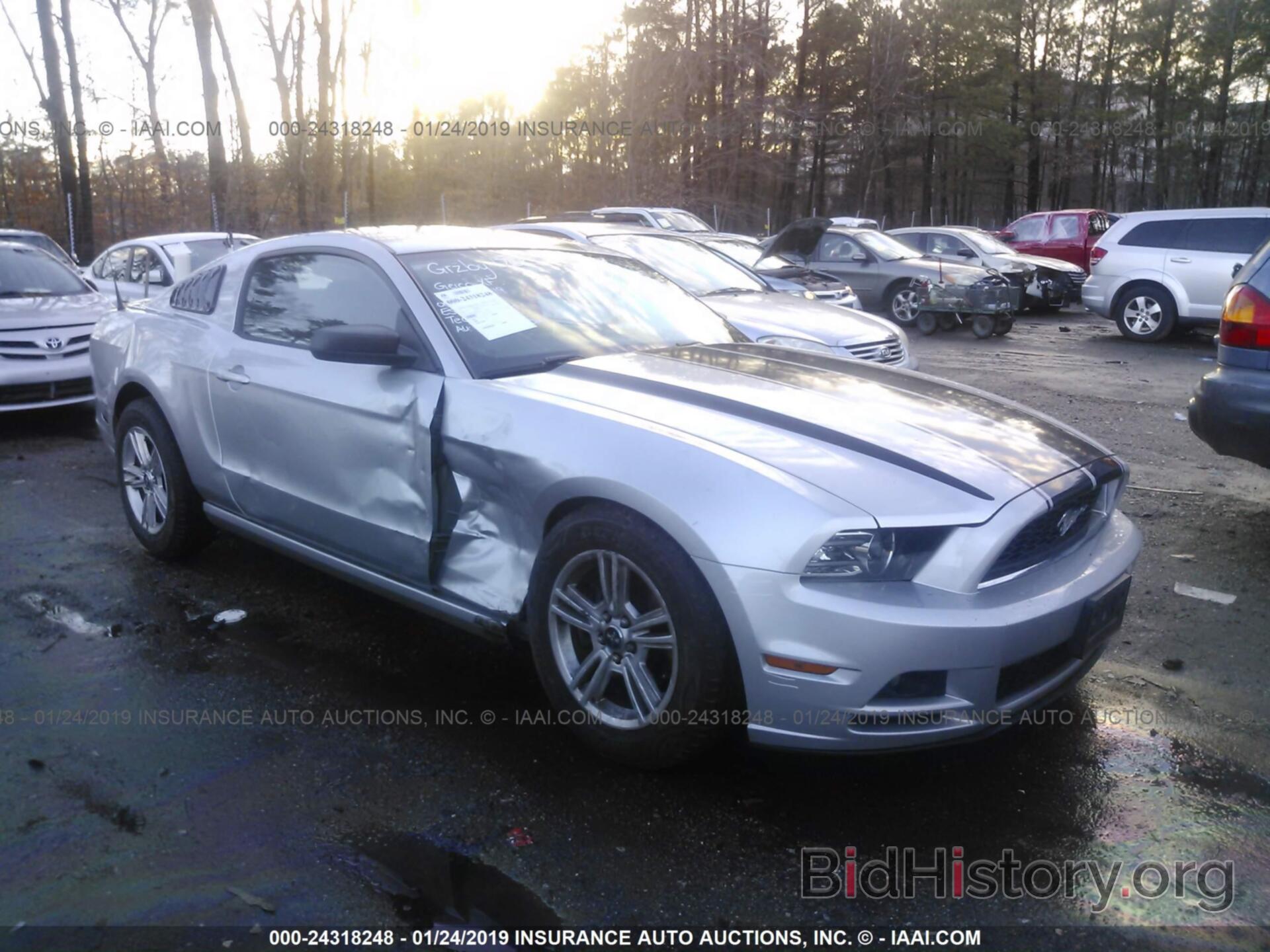 Photo 1ZVBP8AM3D5281530 - FORD MUSTANG 2013