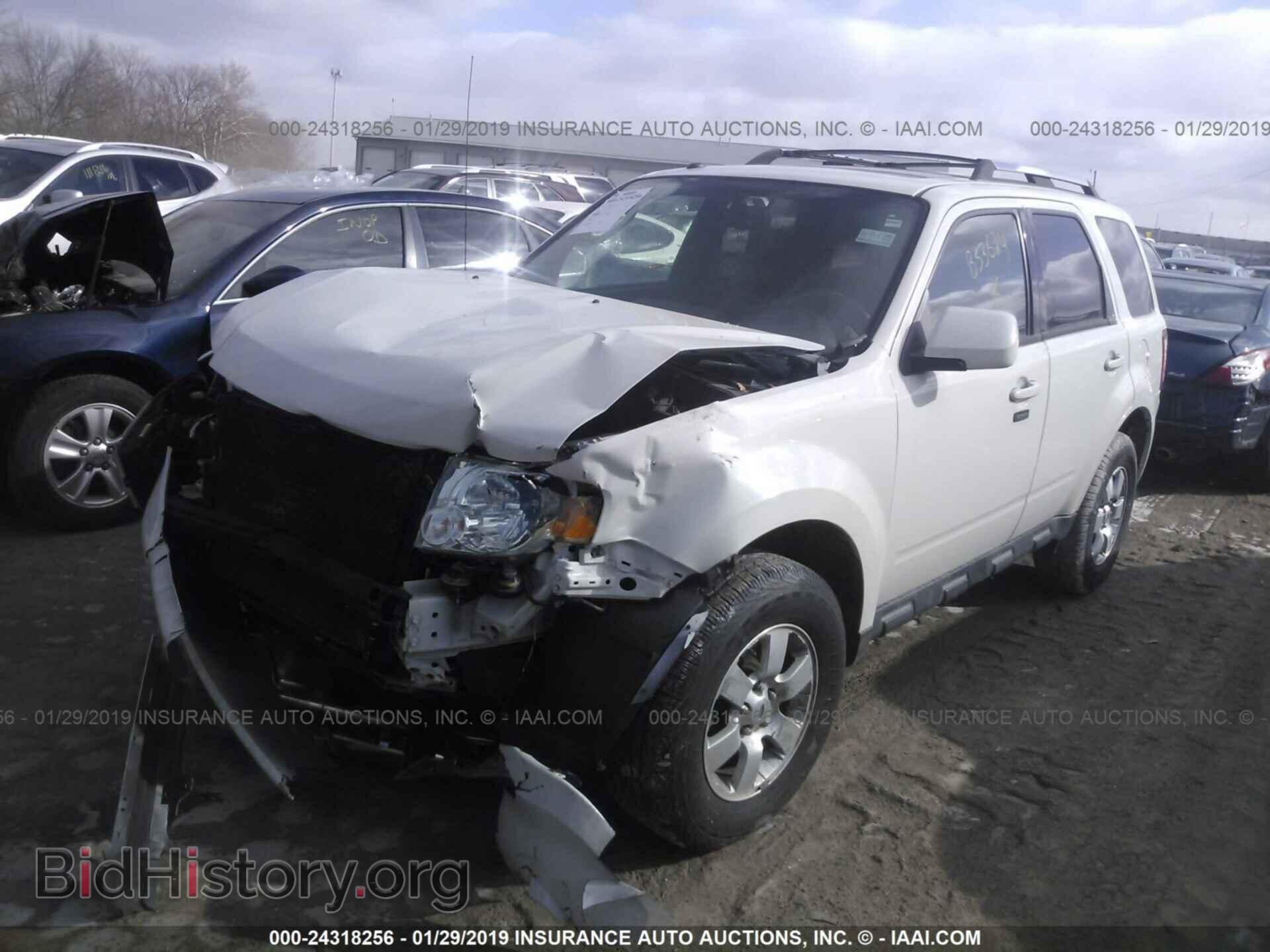 2011 FORD ESCAPE - VIN: 1FMCU0EG8BKB53624 - Photo 2