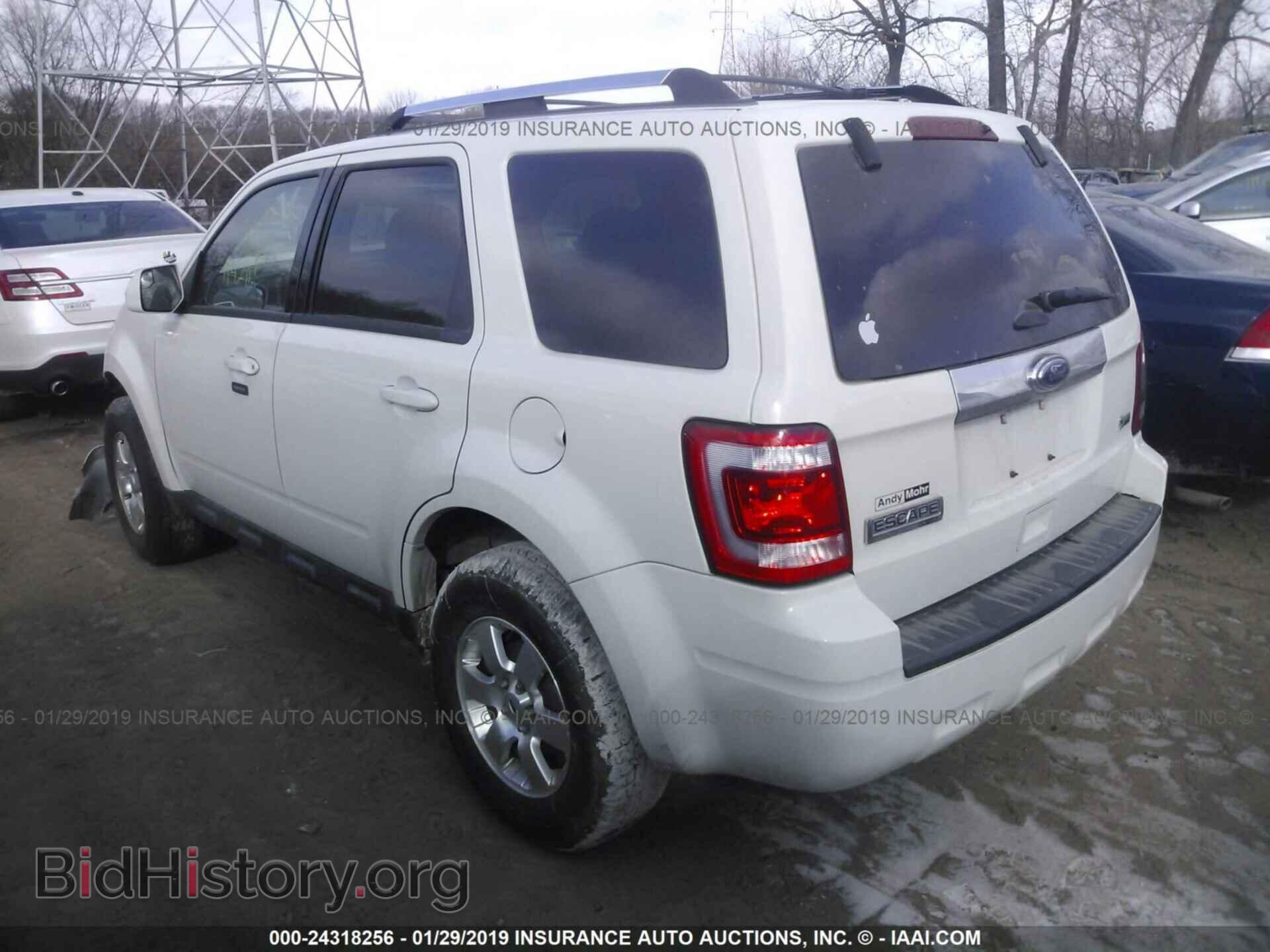 2011 FORD ESCAPE - VIN: 1FMCU0EG8BKB53624 - Photo 3
