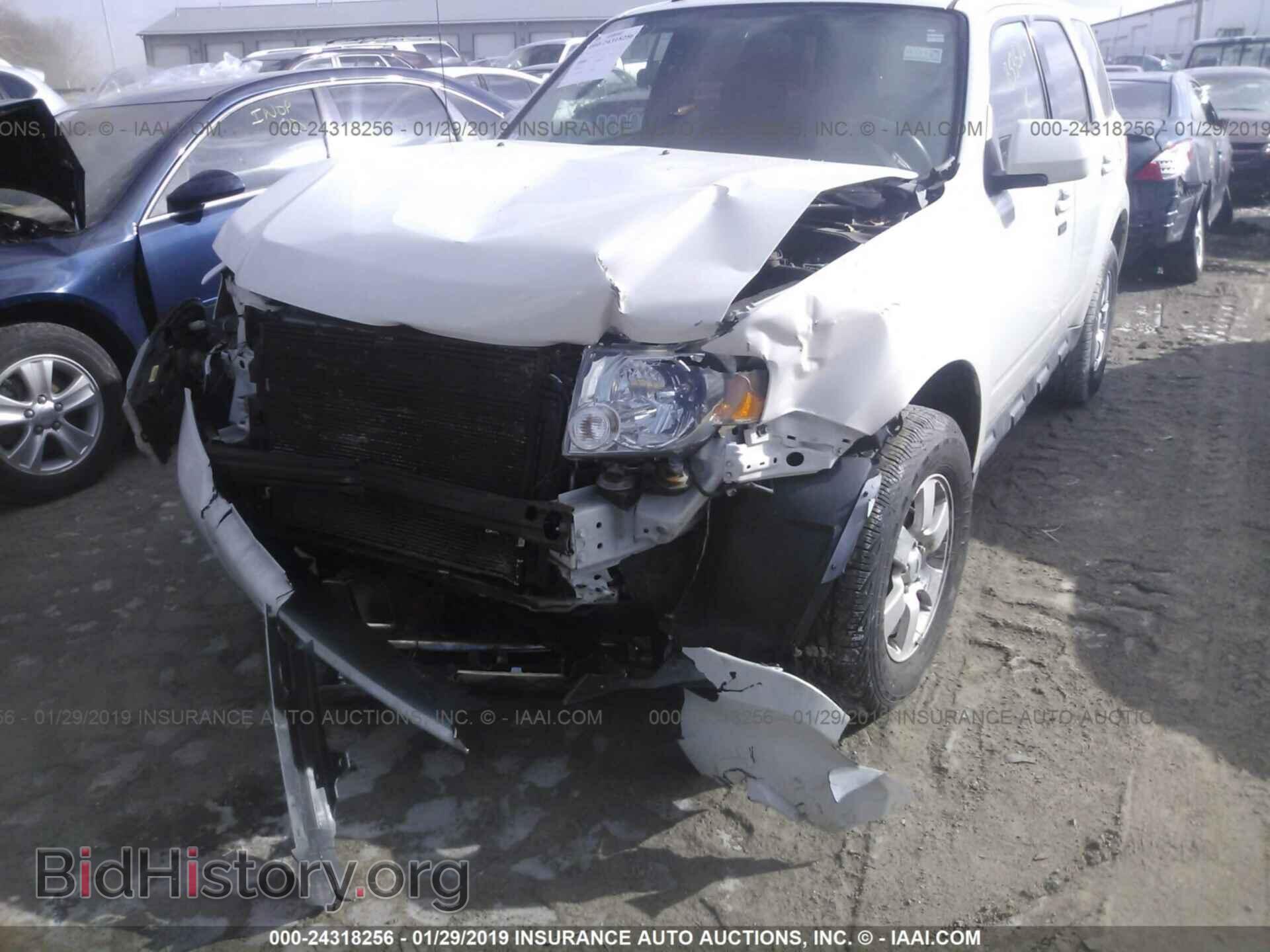 2011 FORD ESCAPE - VIN: 1FMCU0EG8BKB53624 - Photo 6