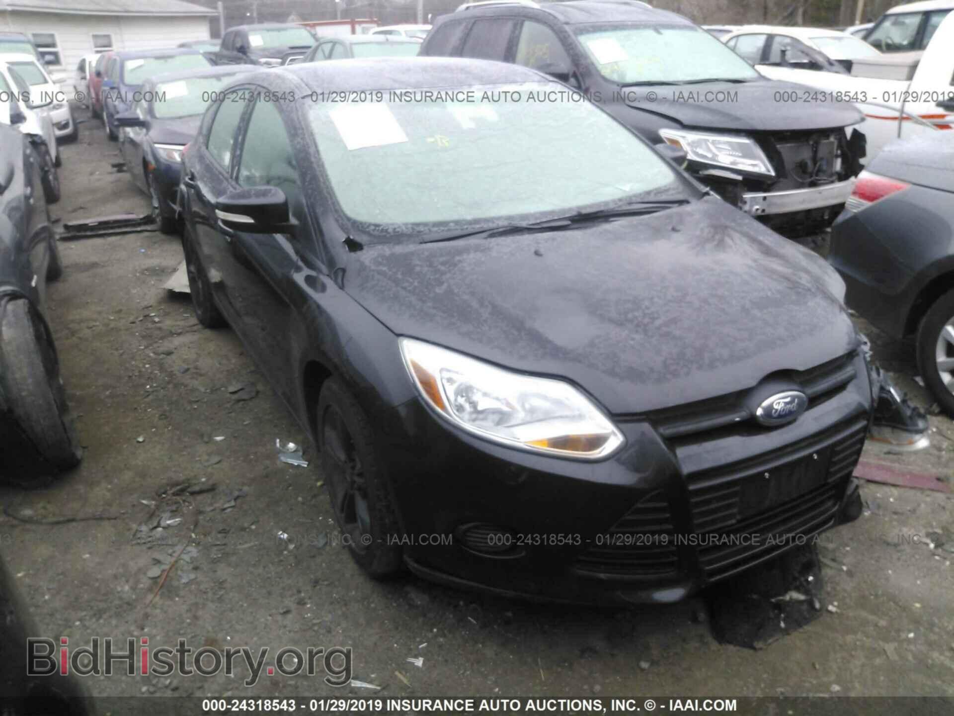 Photo 1FADP3K26DL231637 - FORD FOCUS 2013