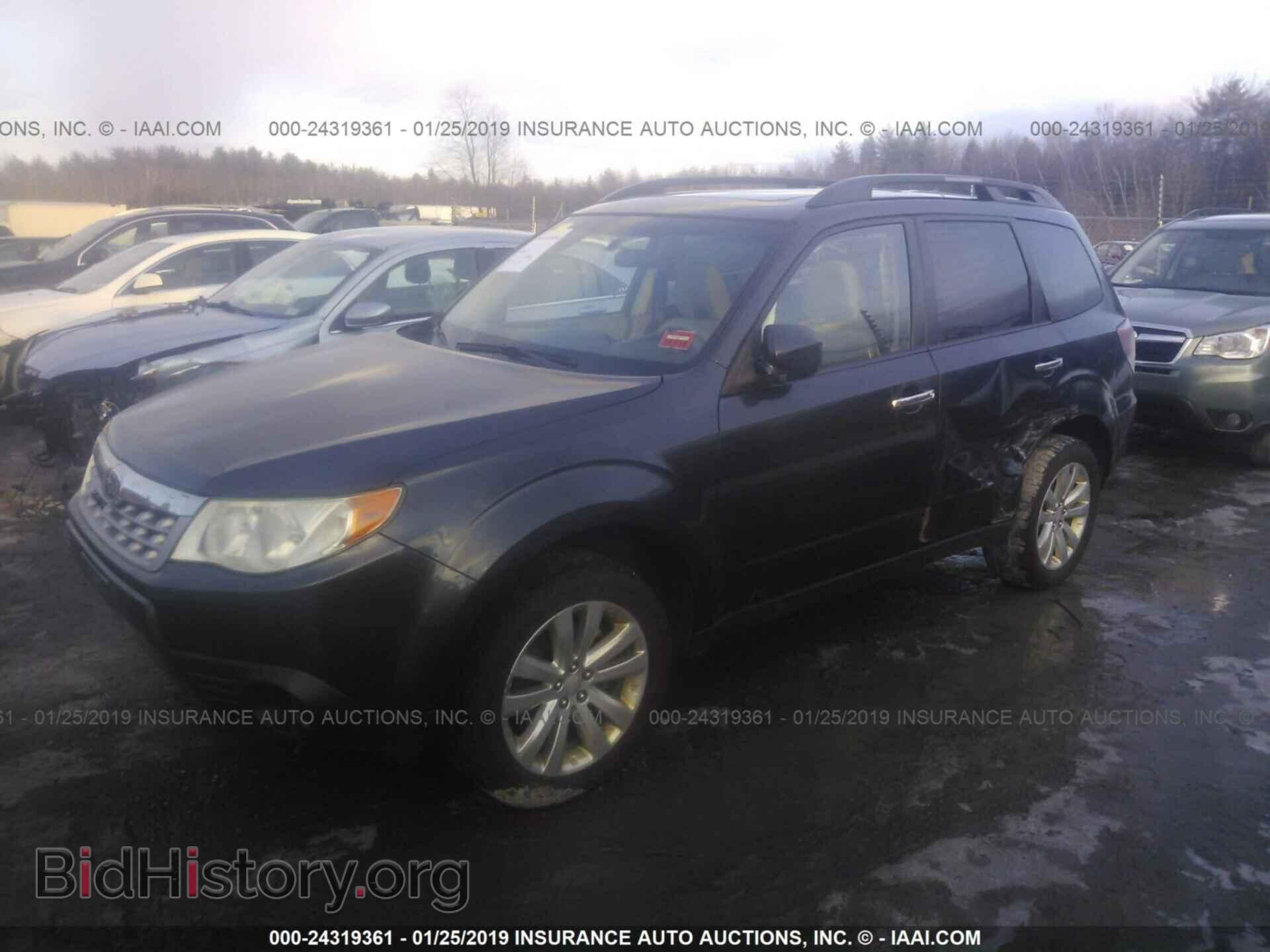 2011 SUBARU FORESTER - VIN: JF2SHADC8BH705890 - Фото 2