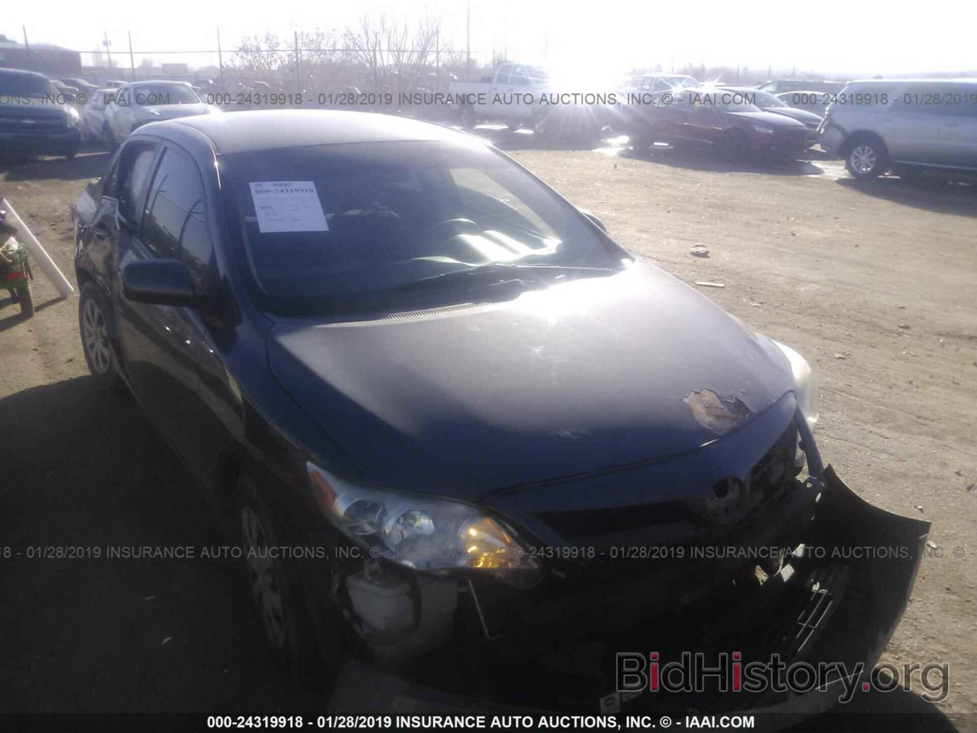 Photo 2T1BU4EE6BC585667 - TOYOTA COROLLA 2011