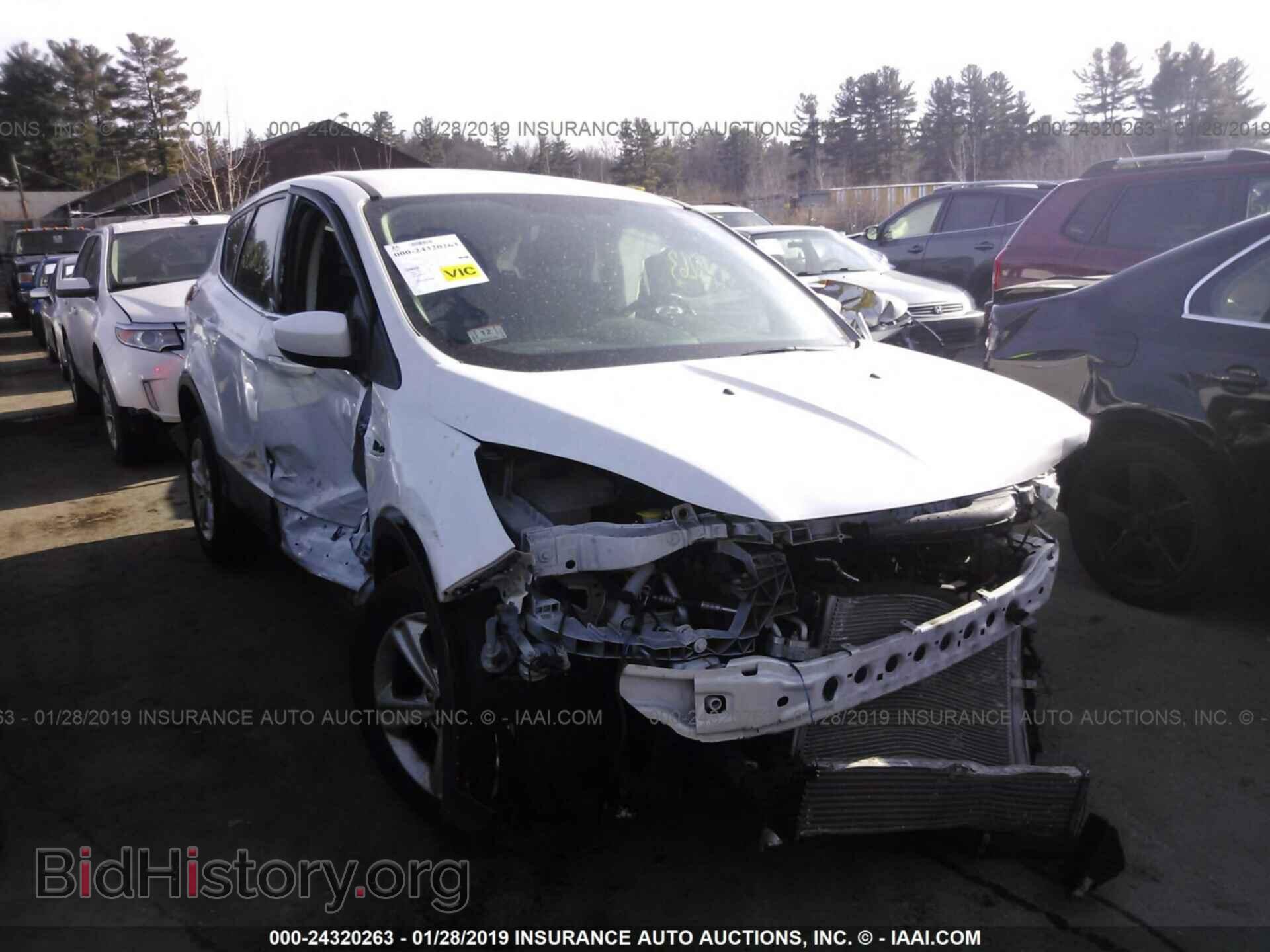 Фотография 1FMCU9GX0EUC03541 - FORD ESCAPE 2014