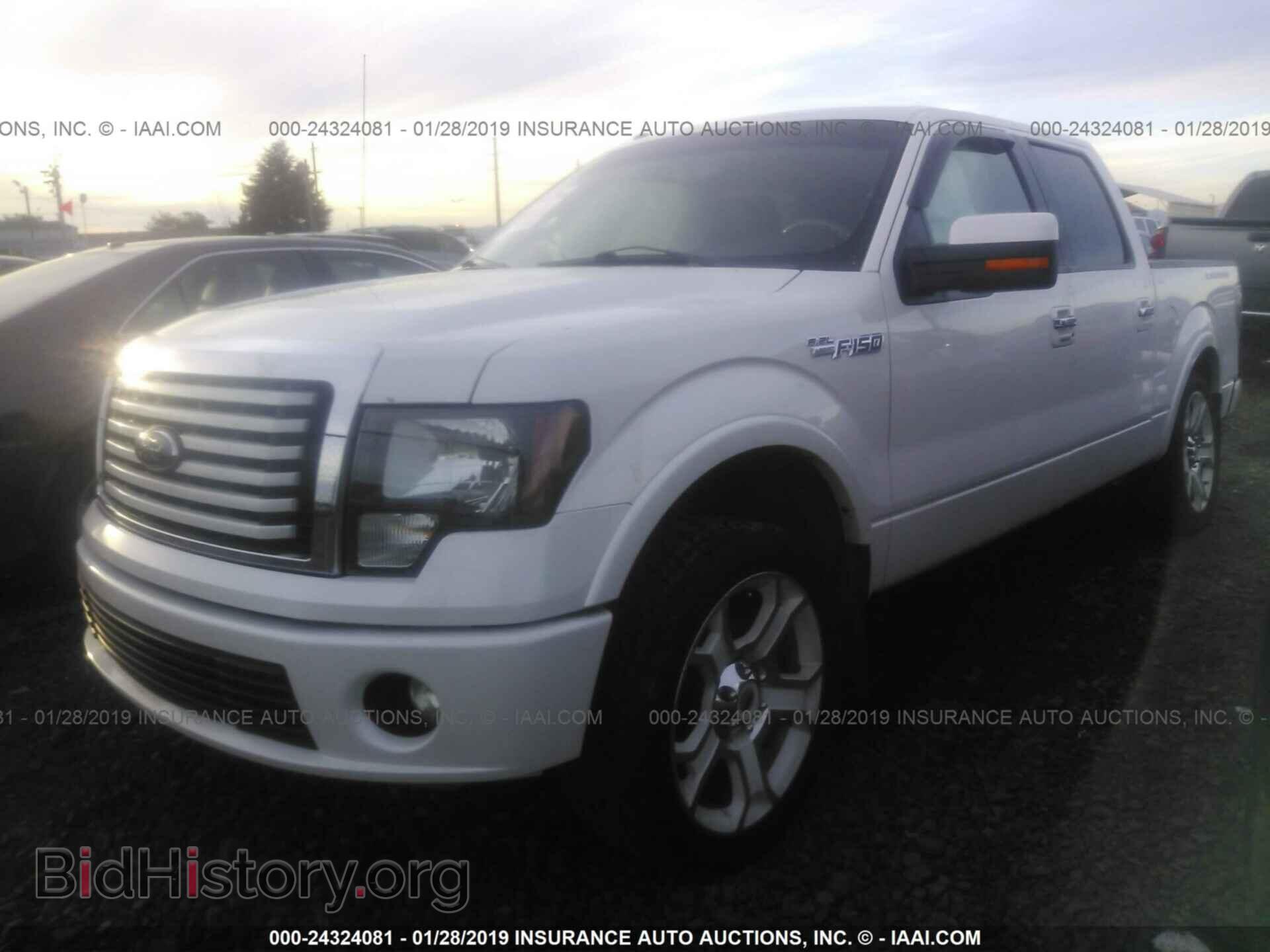 2011 FORD F150 - VIN: 1FTFW1E68BFA81325 - Фото 2