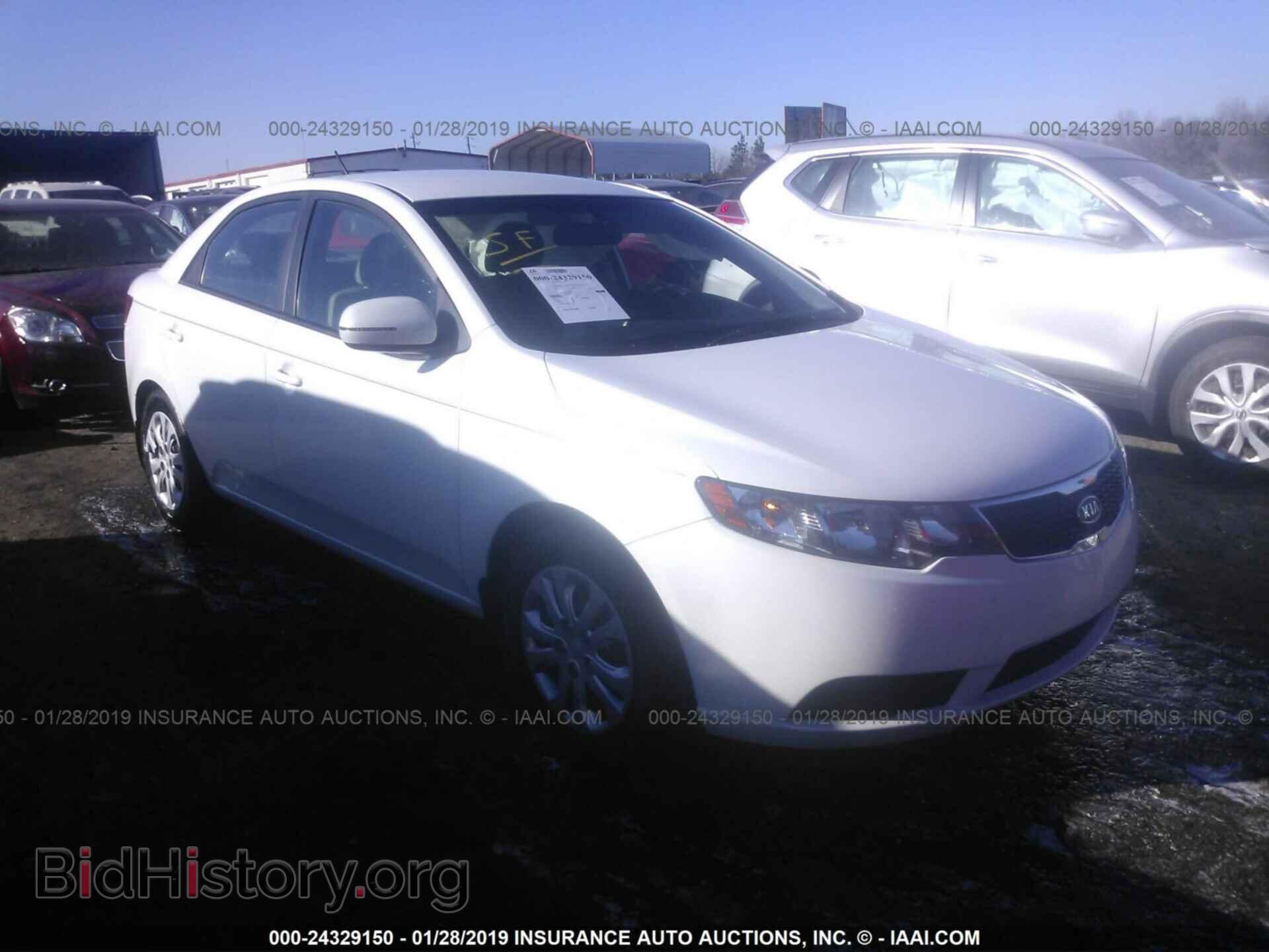 Фотография KNAFU4A24D5650851 - KIA FORTE 2013