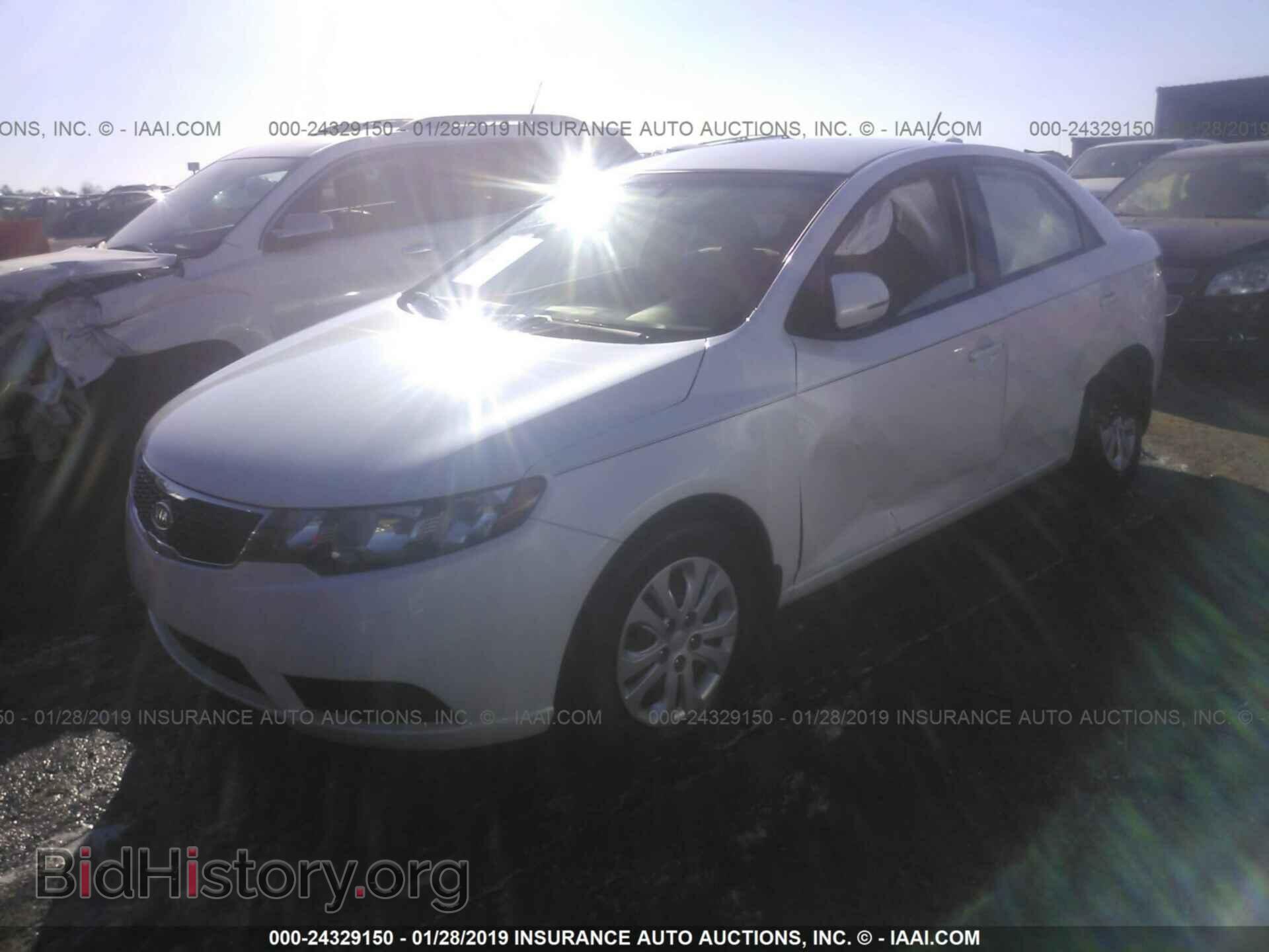 2013 KIA FORTE - VIN: KNAFU4A24D5650851 - Фото 2