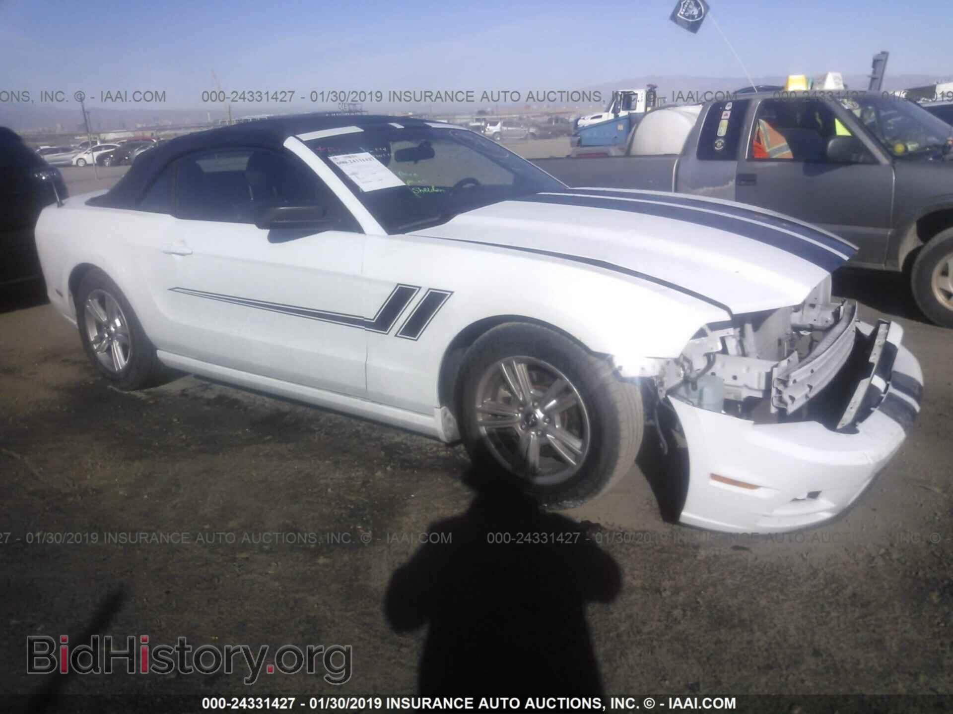 Фотография 1ZVBP8EM2E5233948 - FORD MUSTANG 2014