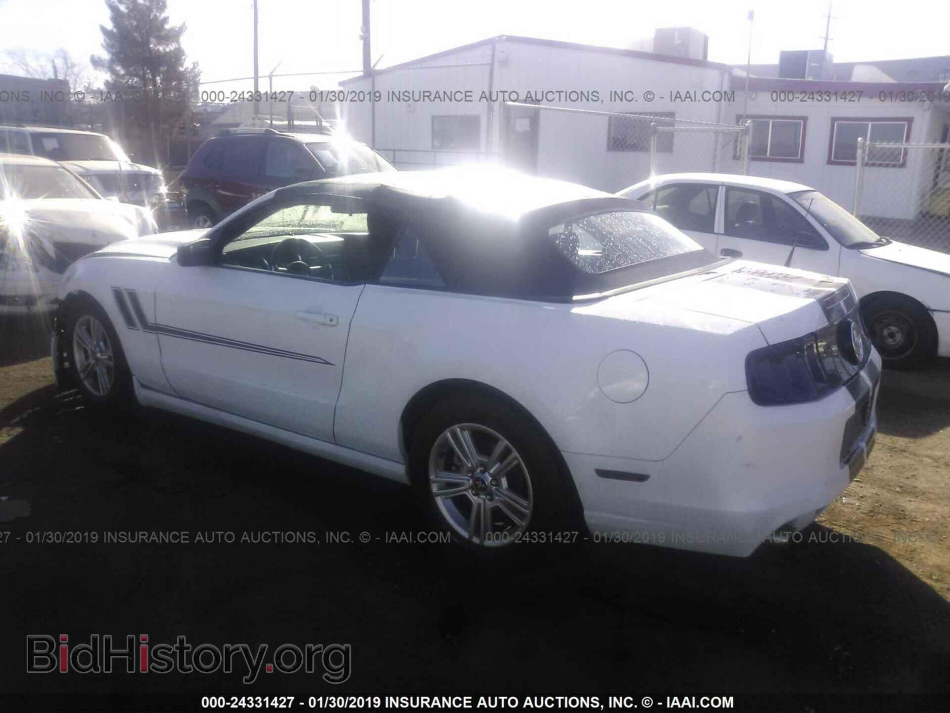 2014 FORD MUSTANG - VIN: 1ZVBP8EM2E5233948 - Фото 3