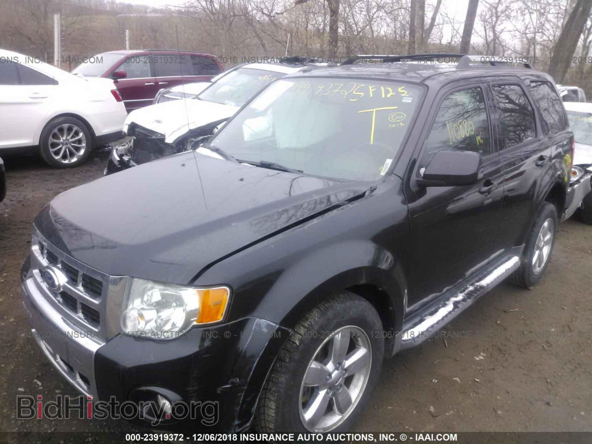 2011 FORD ESCAPE - VIN: 1FMCU0E72BKA67385 - Фото 2