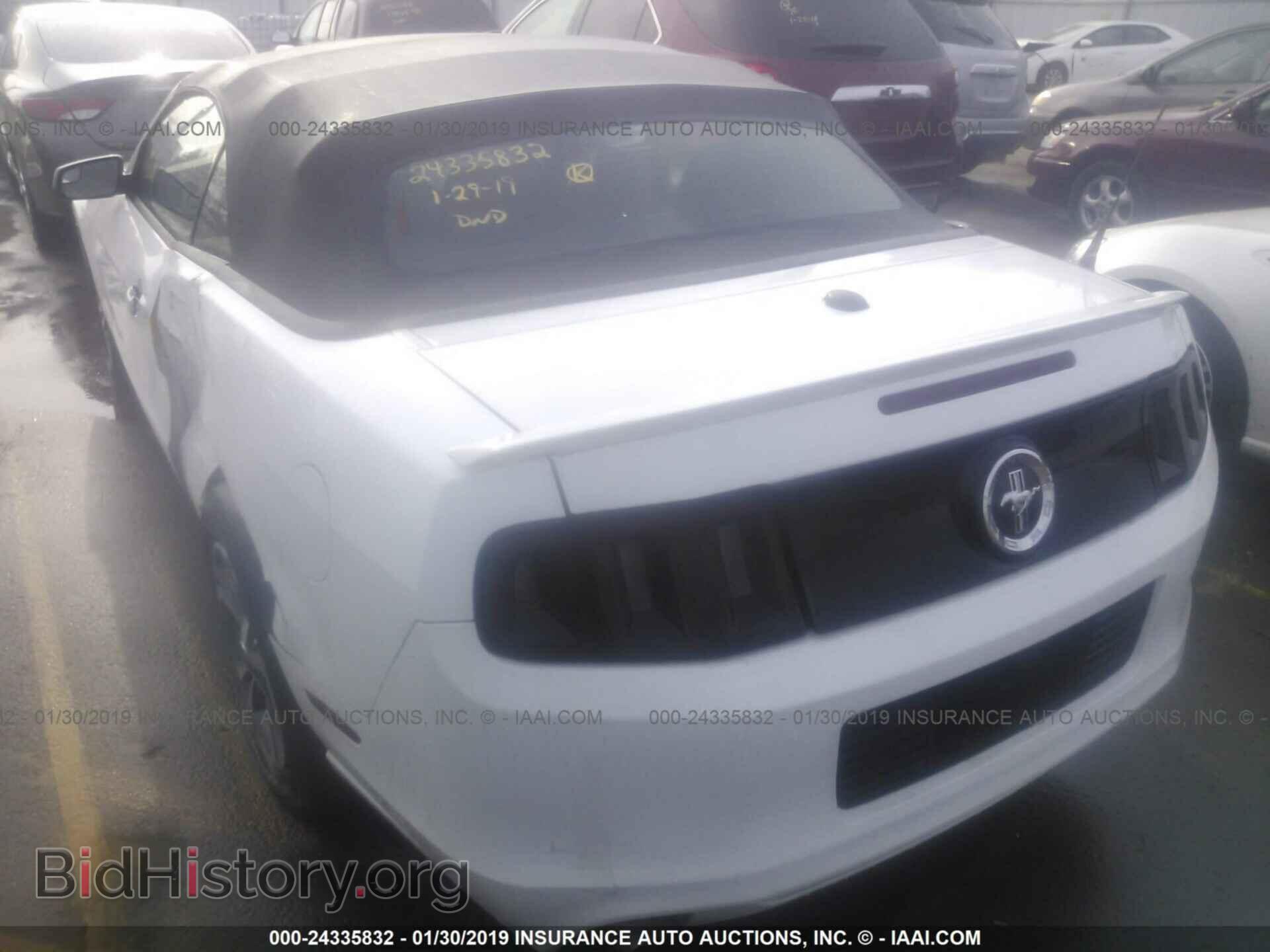 2014 FORD MUSTANG - VIN: 1ZVBP8EM3E5242867 - Фото 3