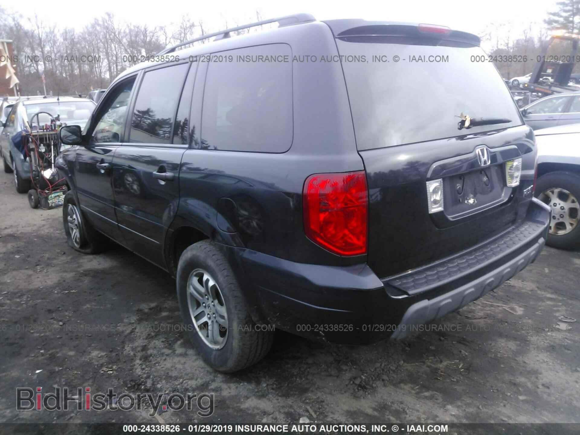 2005 HONDA PILOT - VIN: 5FNYF18495B059541 - Фото 3