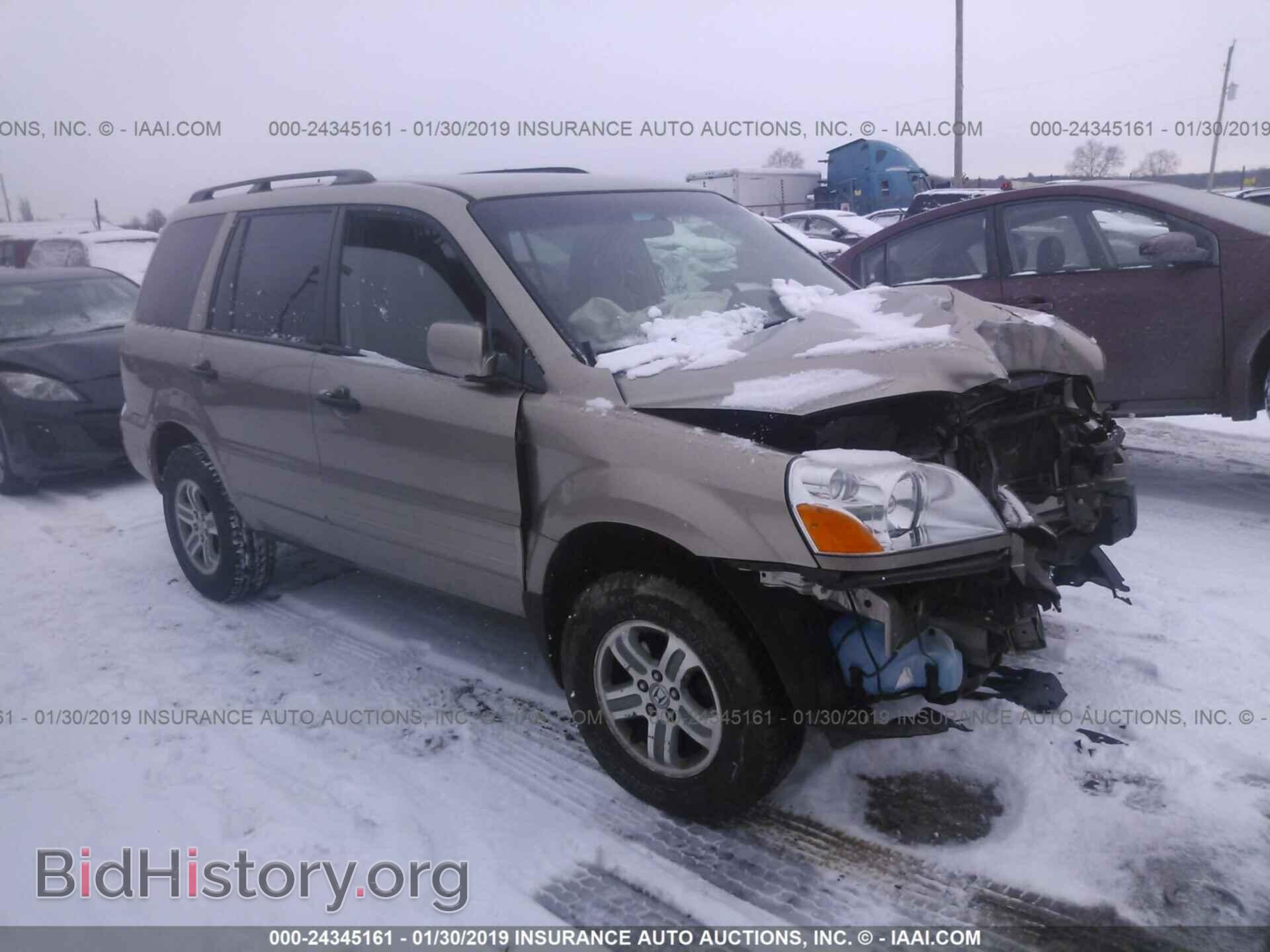 Фотография 5FNYF18425B028602 - HONDA PILOT 2005