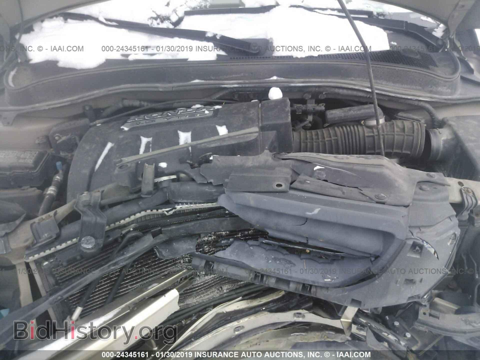 2005 HONDA PILOT - VIN: 5FNYF18425B028602 - Фото 10