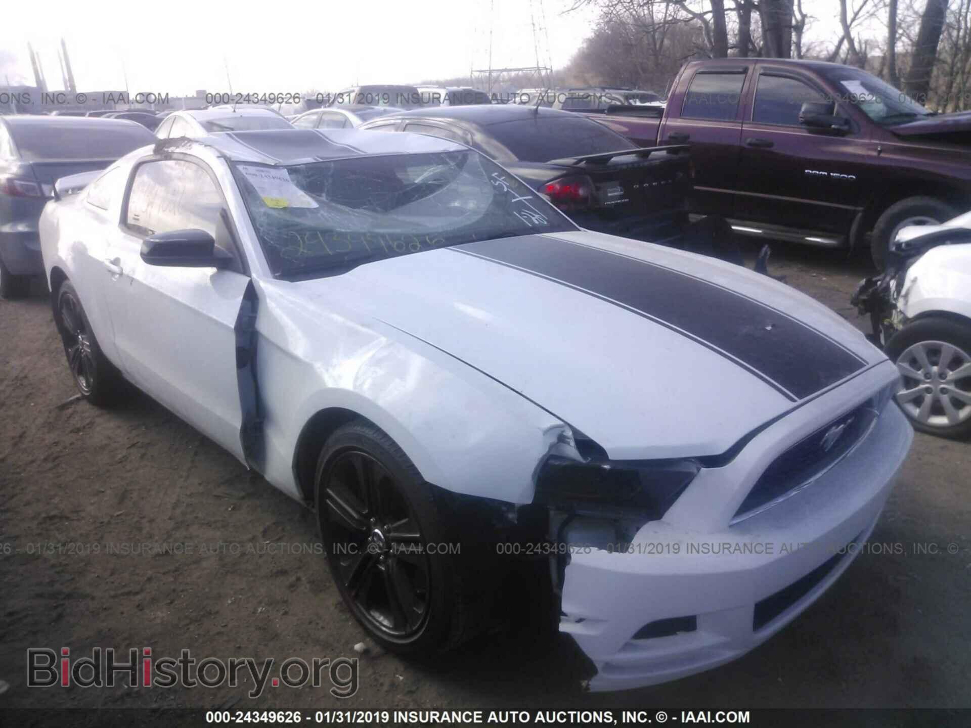 Фотография 1ZVBP8AM7E5319875 - FORD MUSTANG 2014
