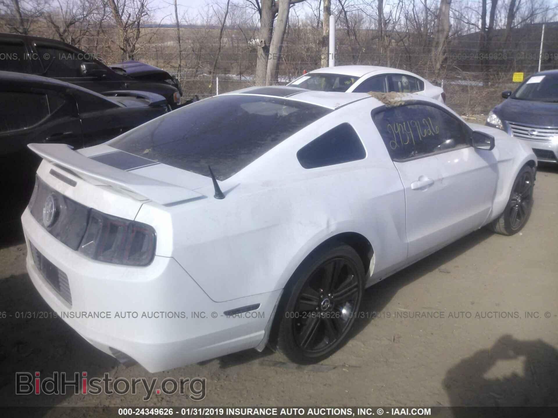 2014 FORD MUSTANG - VIN: 1ZVBP8AM7E5319875 - Фото 4